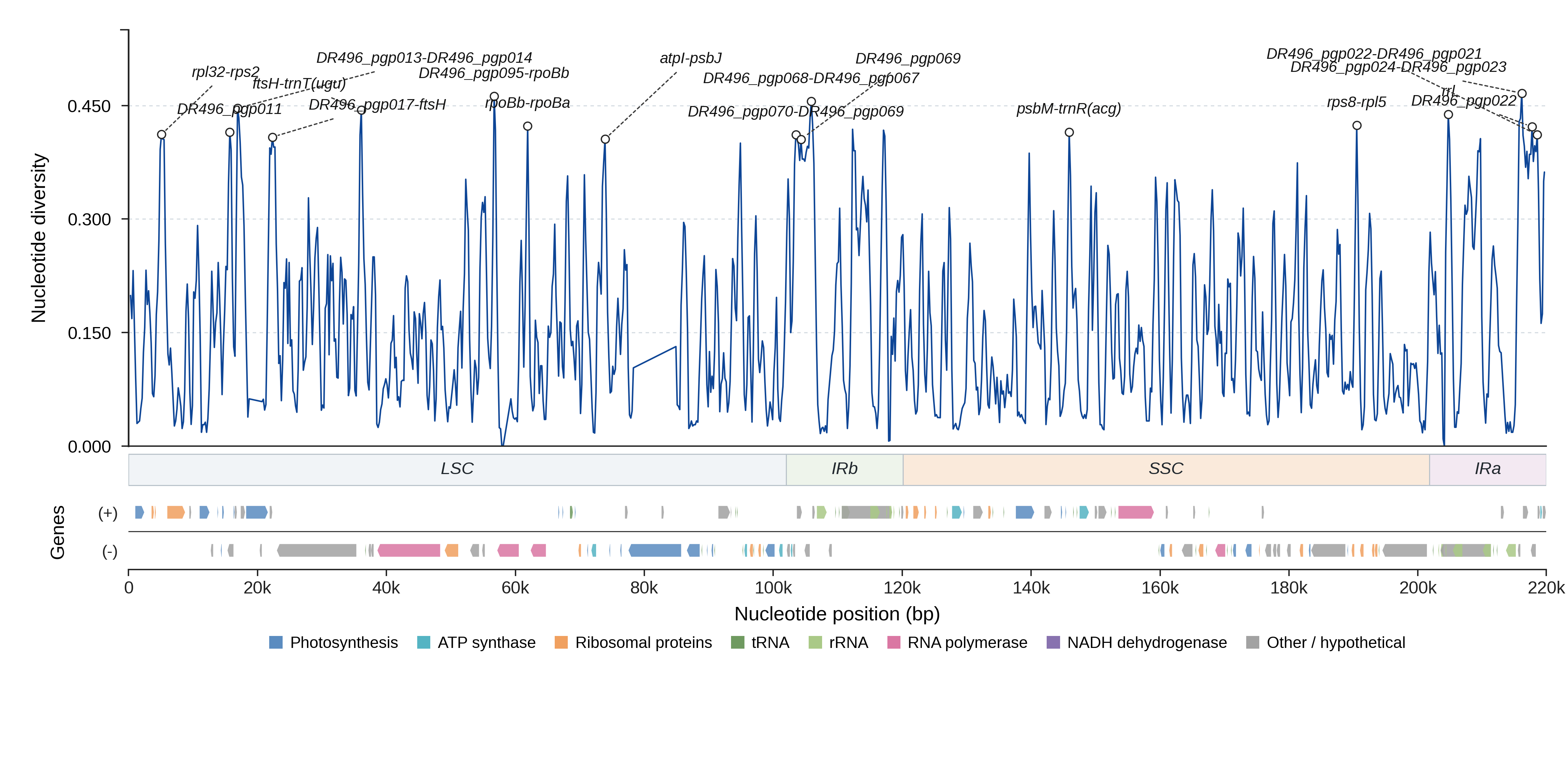 Sliding-window nucleotide diversity