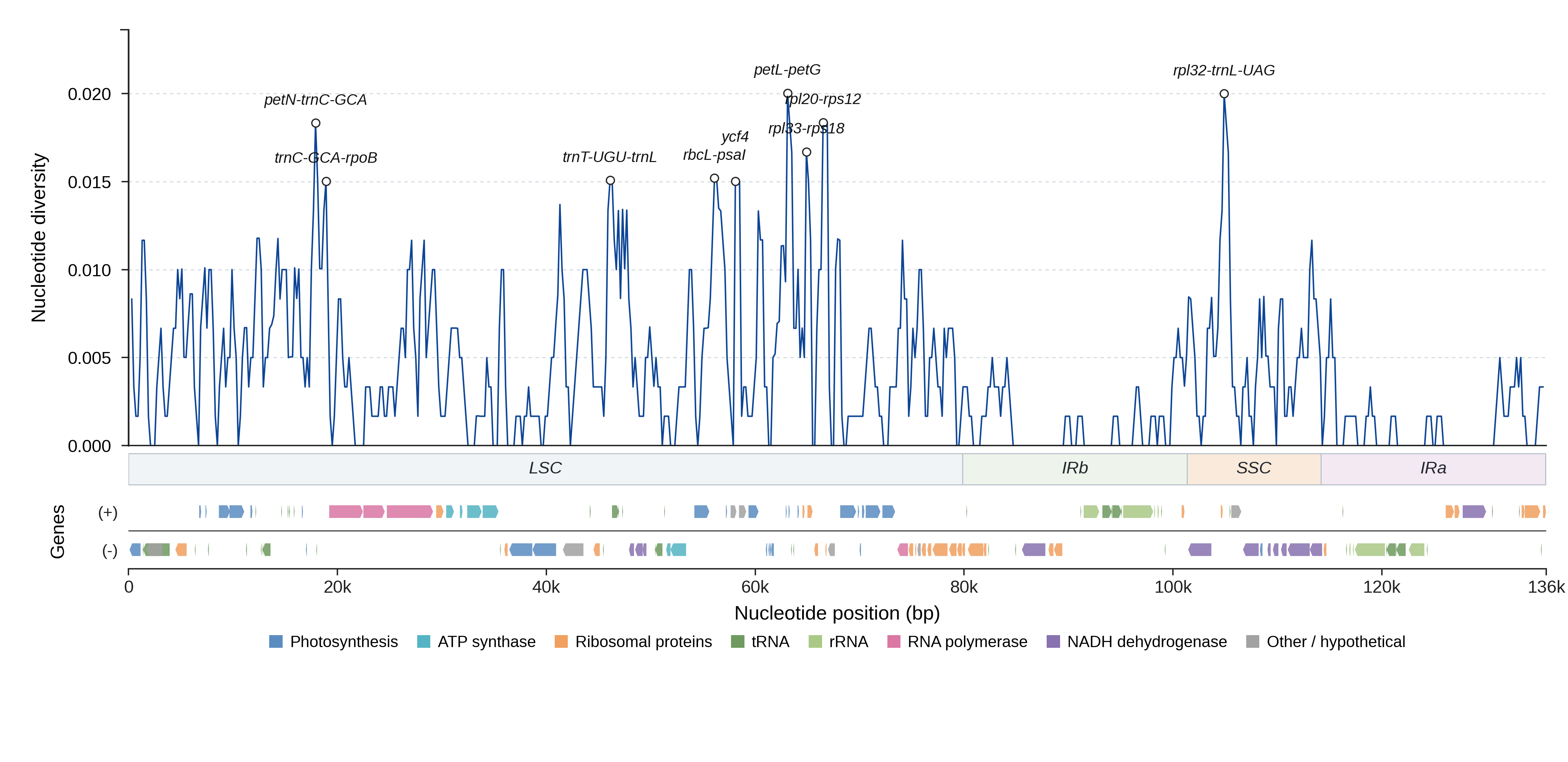 Sliding-window nucleotide diversity