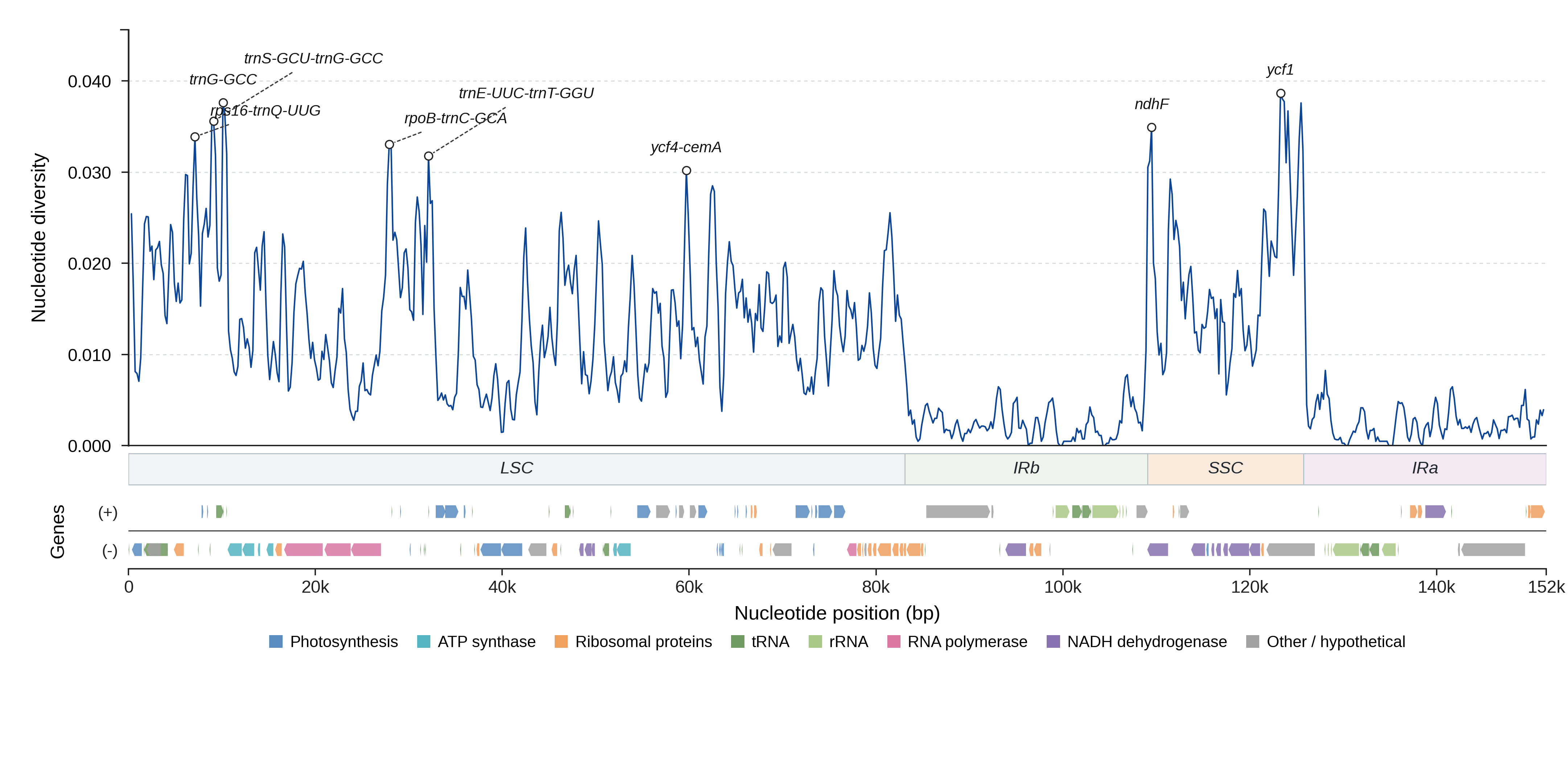 Sliding-window nucleotide diversity