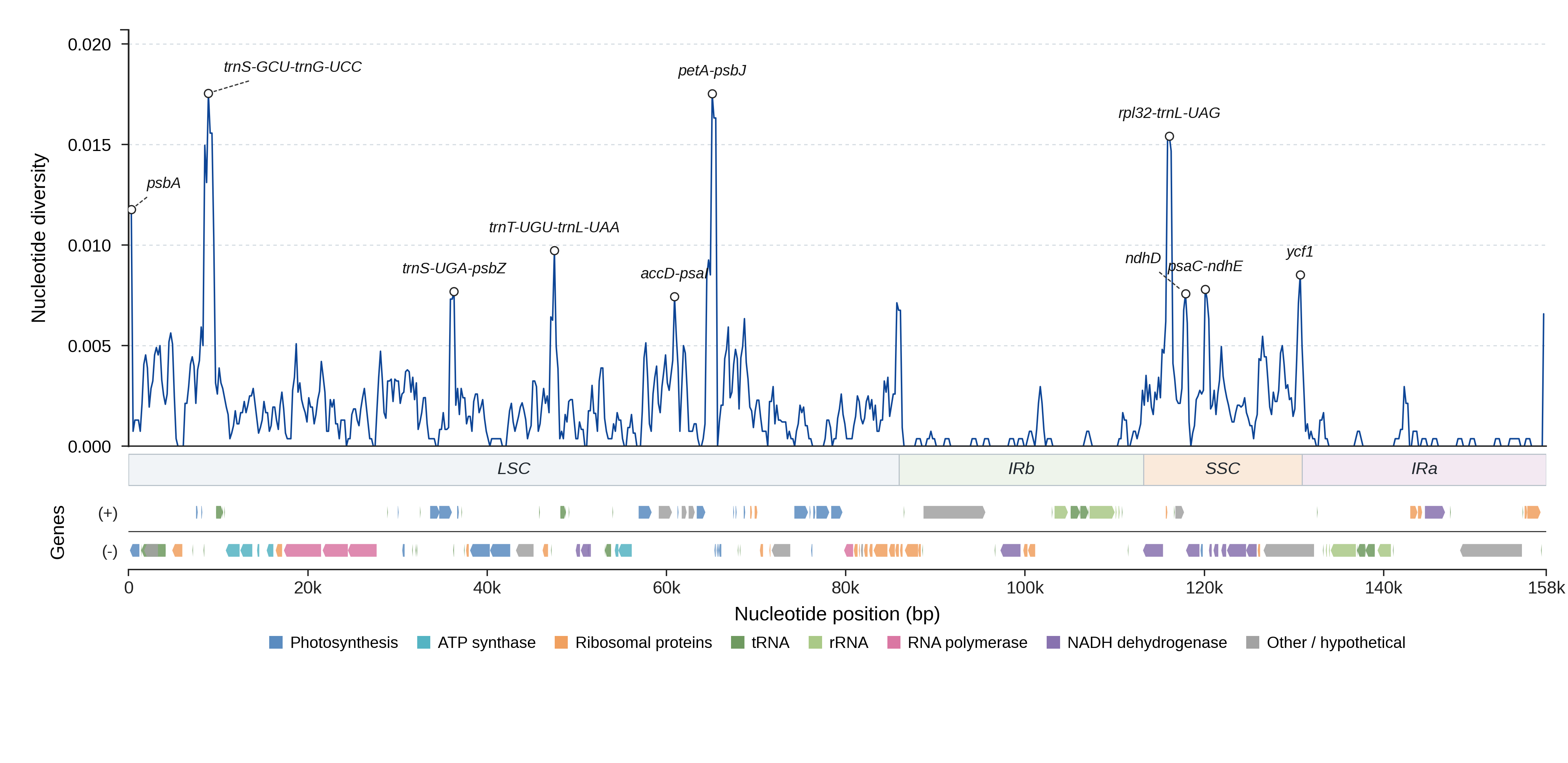 Sliding-window nucleotide diversity