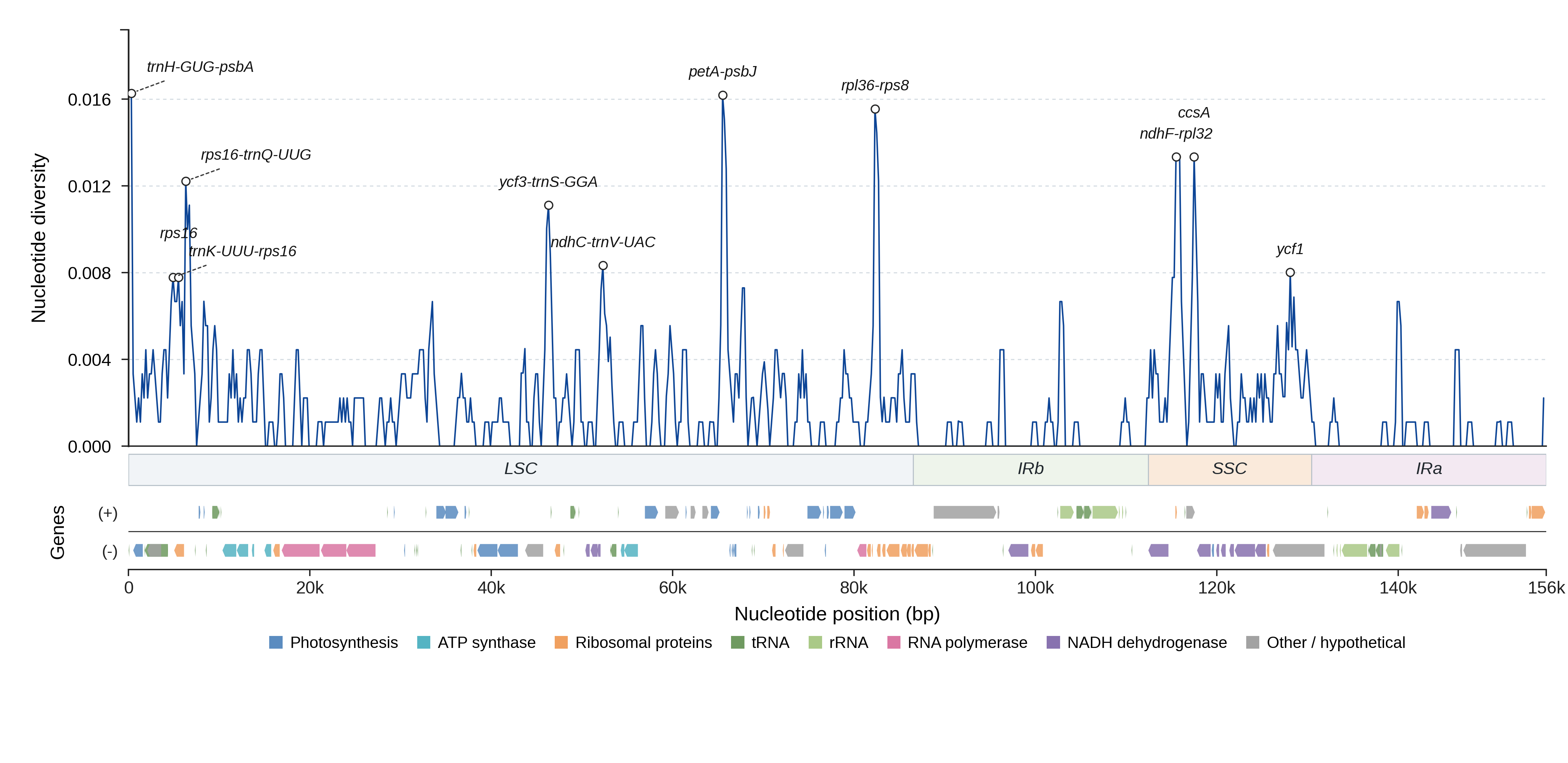 Sliding-window nucleotide diversity