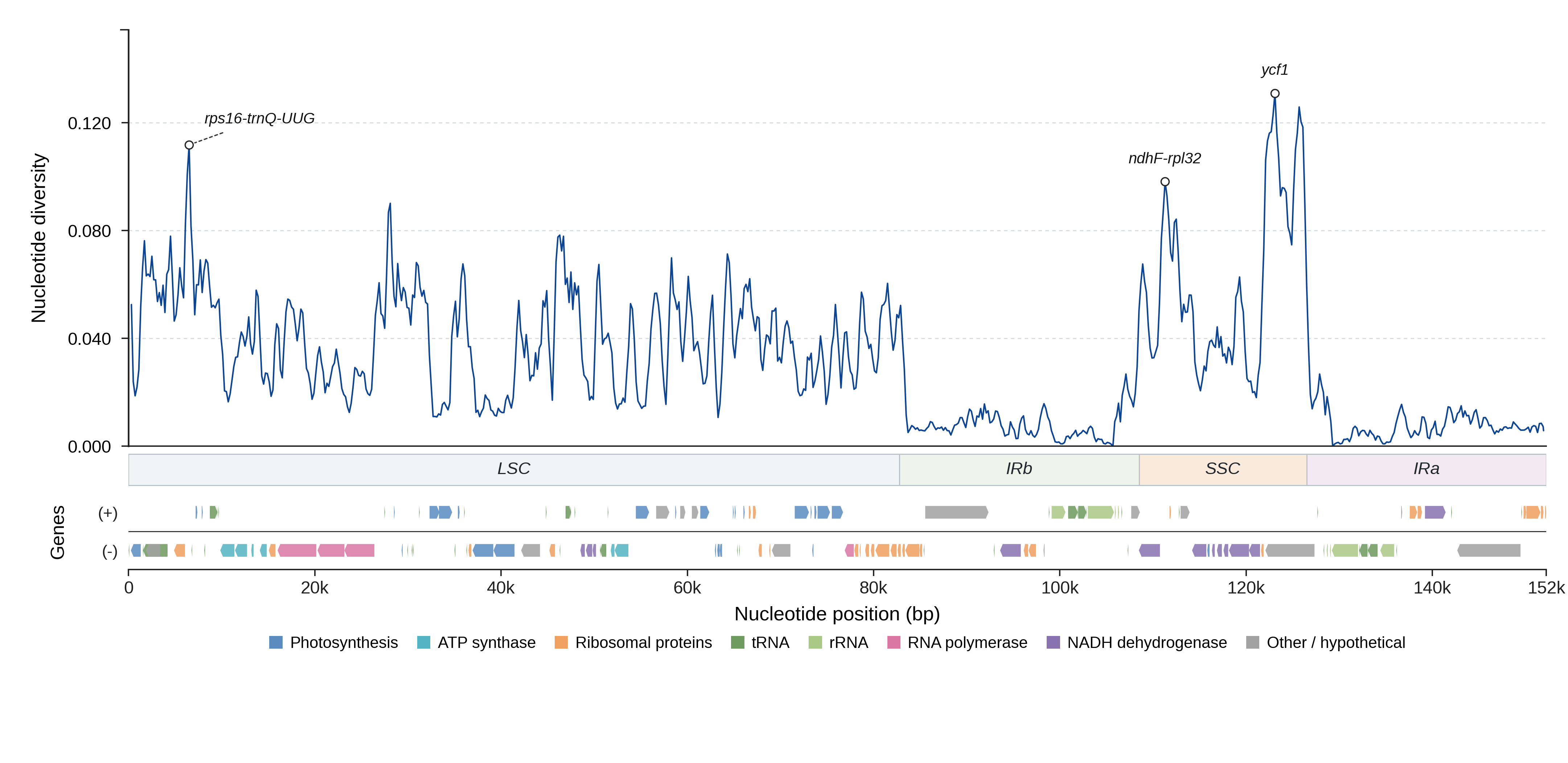 Sliding-window nucleotide diversity