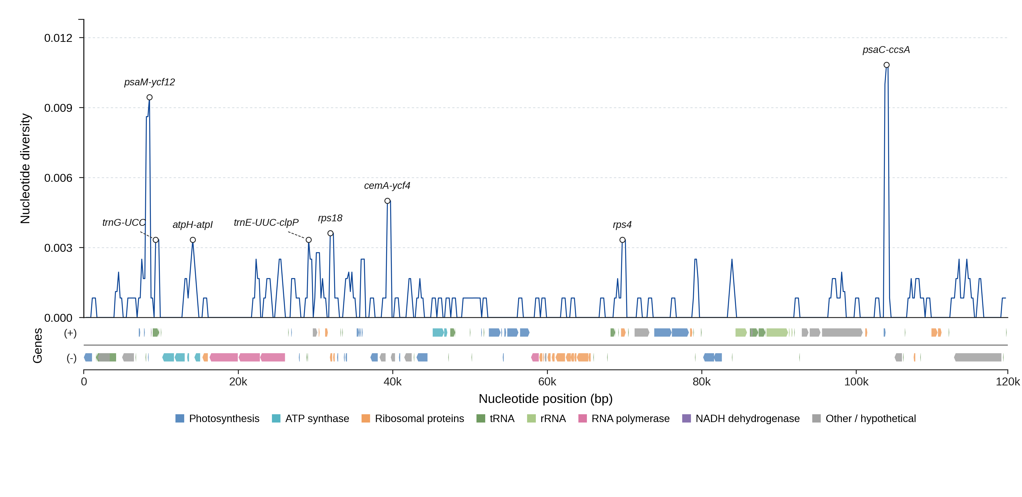 Sliding-window nucleotide diversity