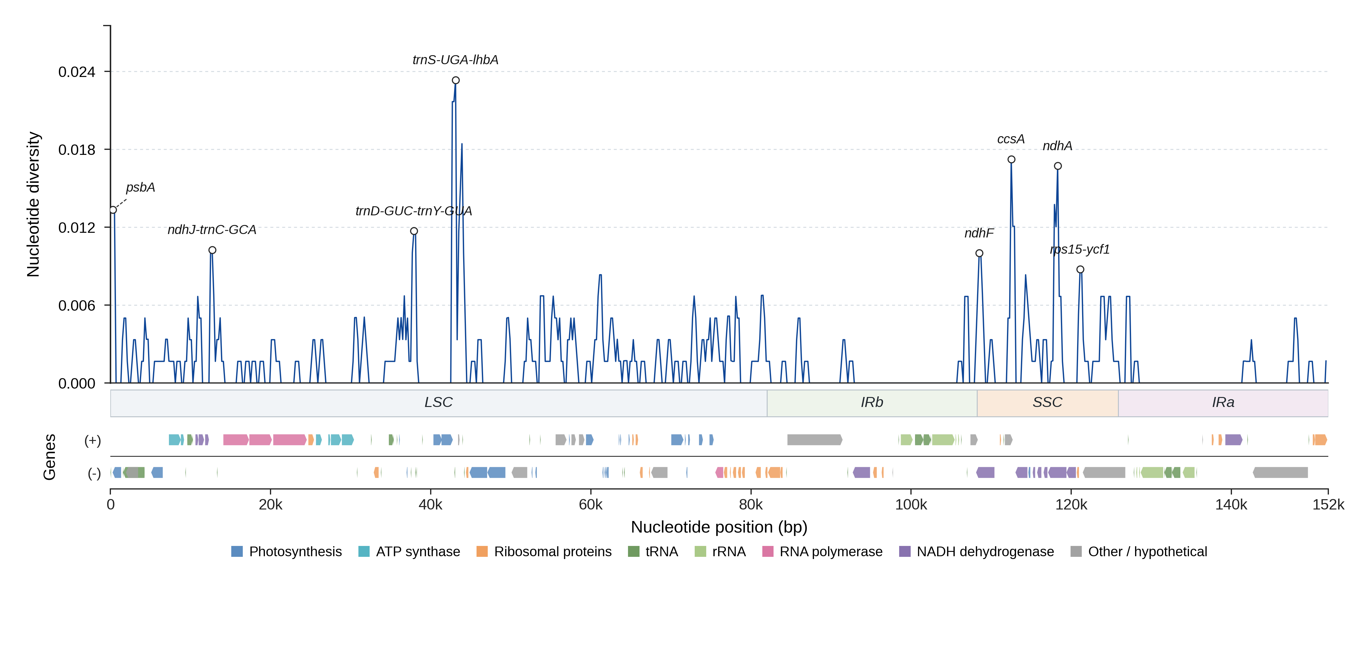 Sliding-window nucleotide diversity
