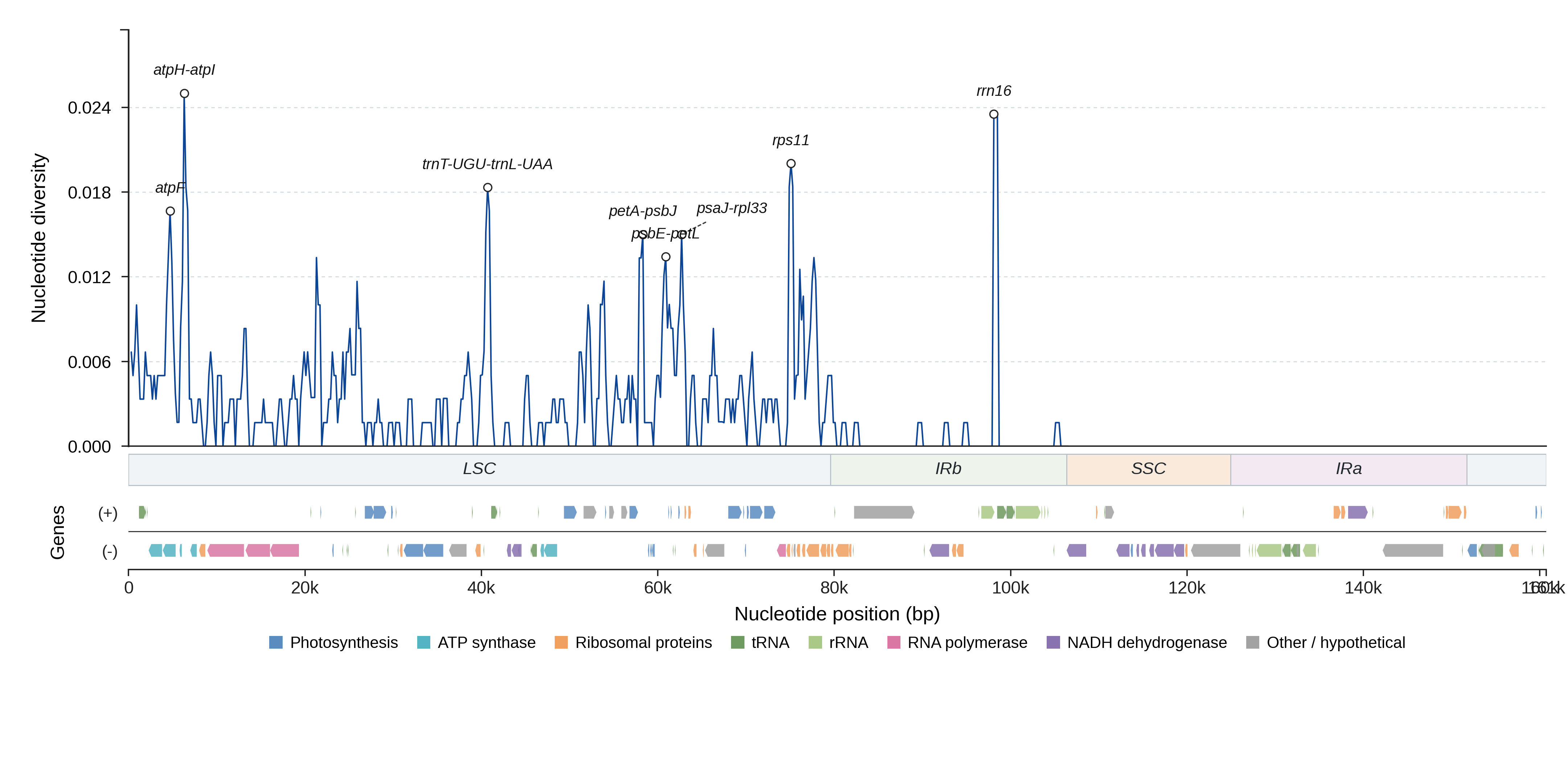 Sliding-window nucleotide diversity