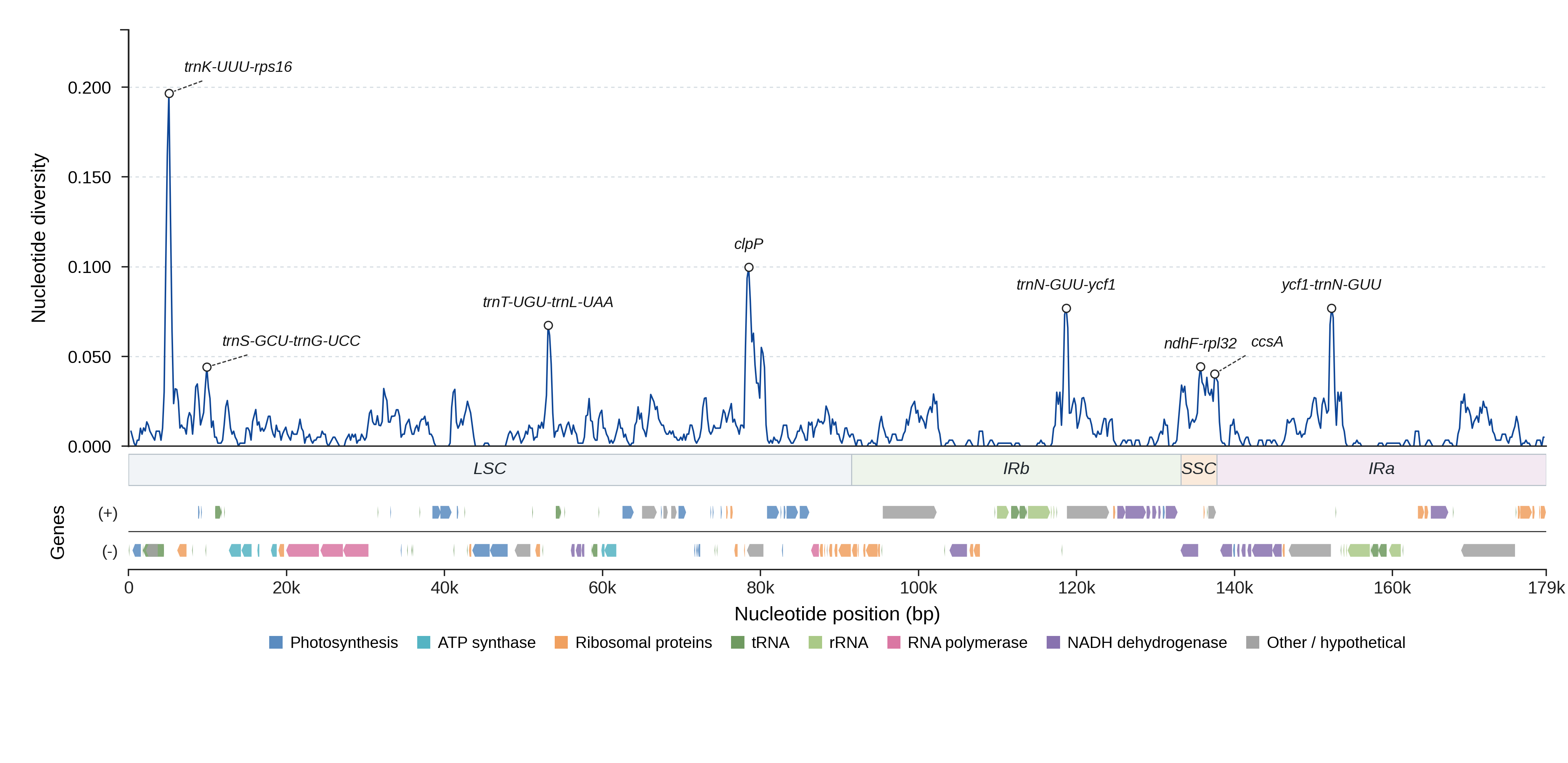 Sliding-window nucleotide diversity