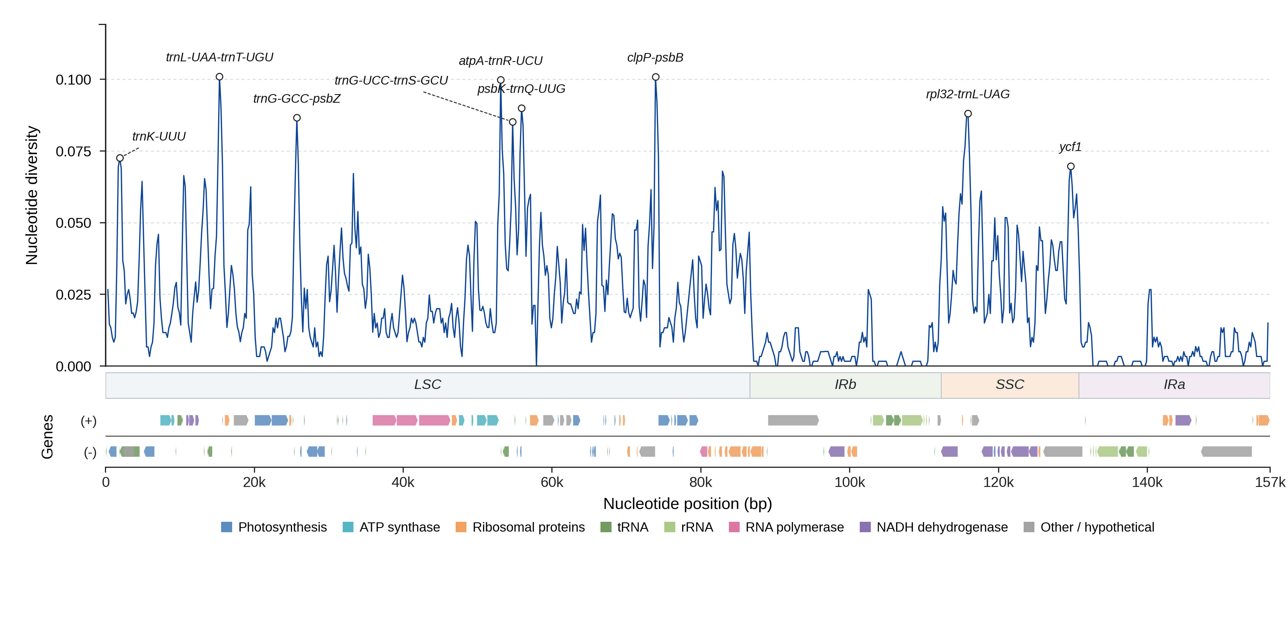 Sliding-window nucleotide diversity