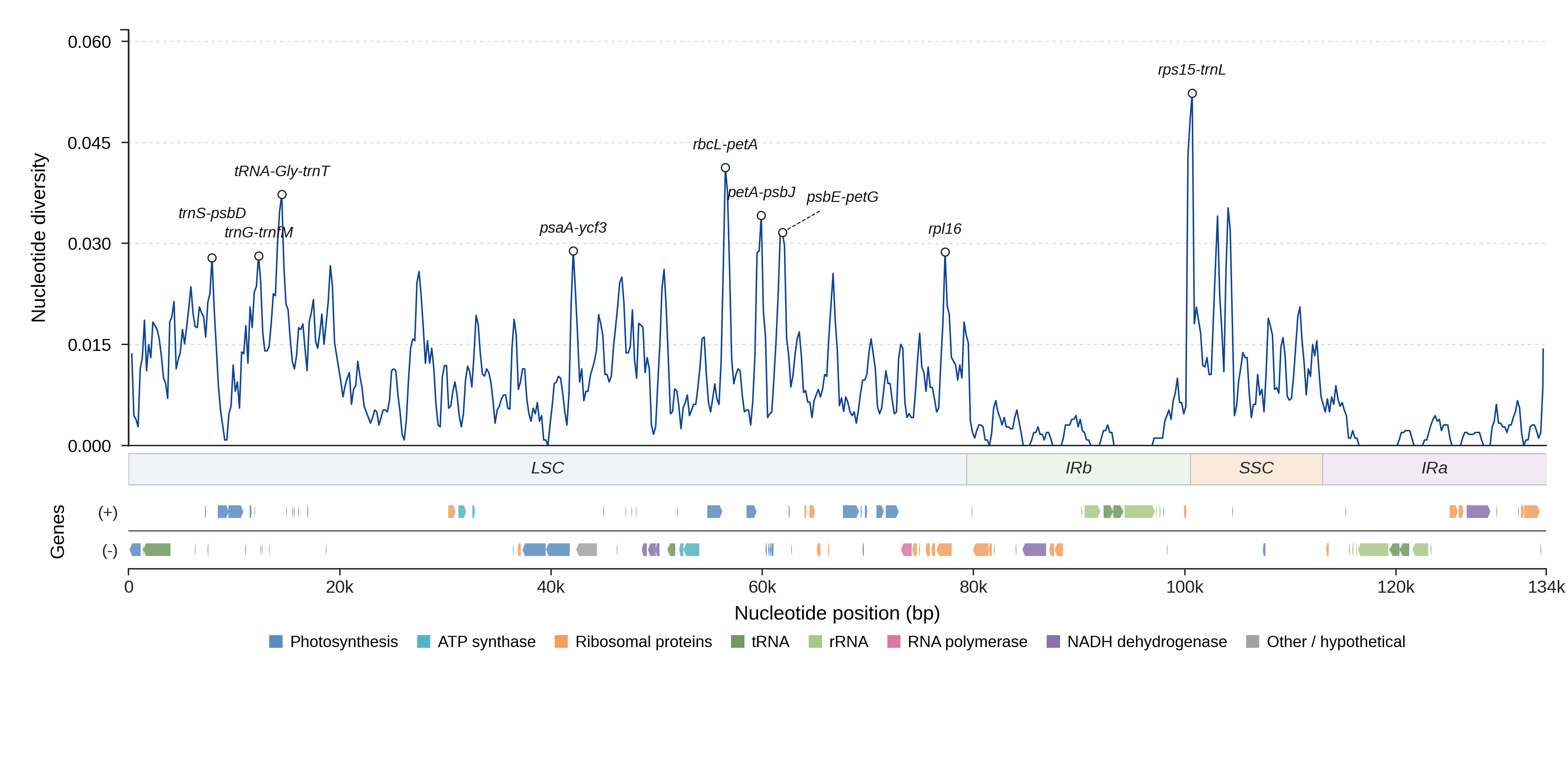 Sliding-window nucleotide diversity
