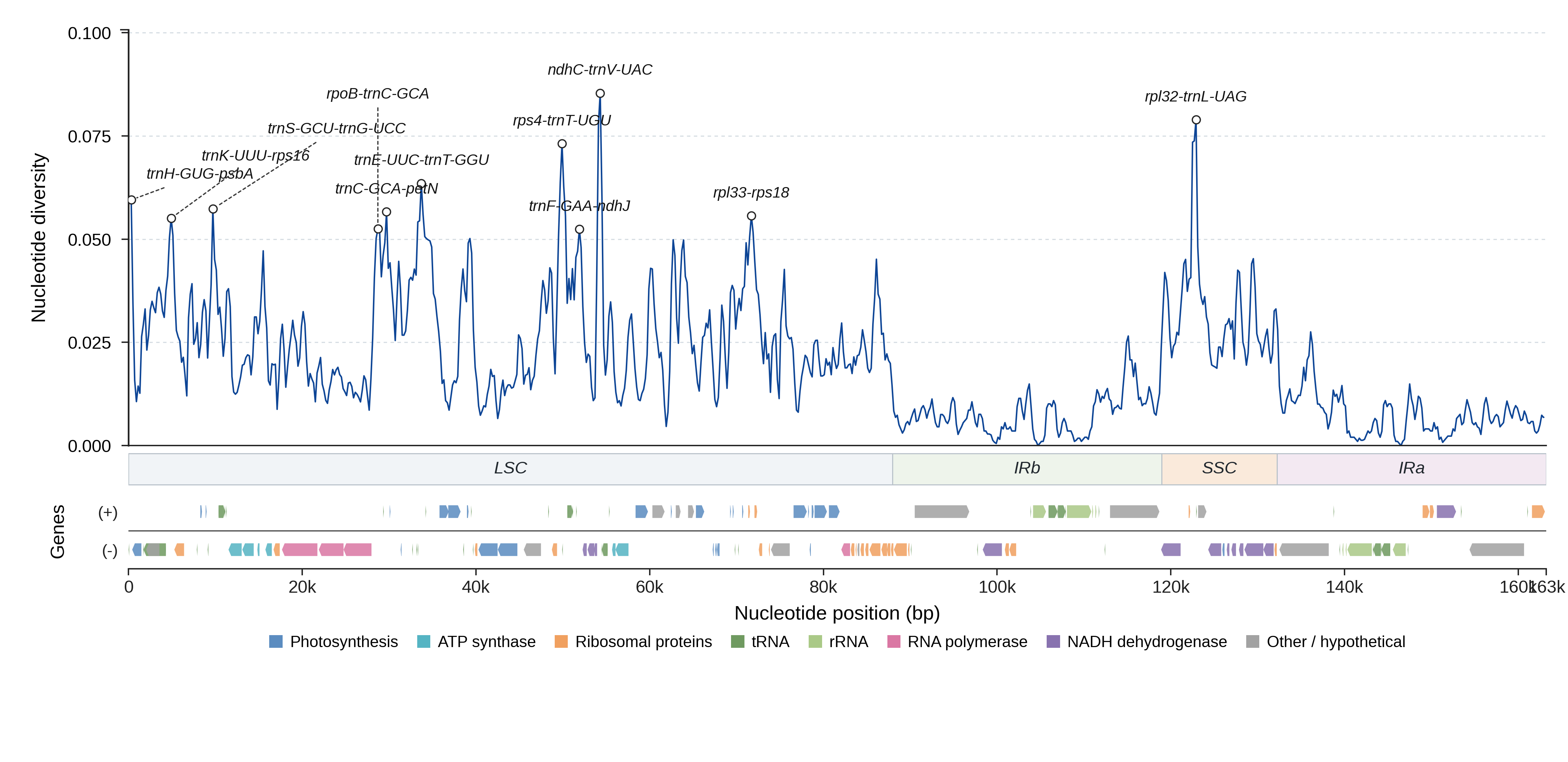 Sliding-window nucleotide diversity