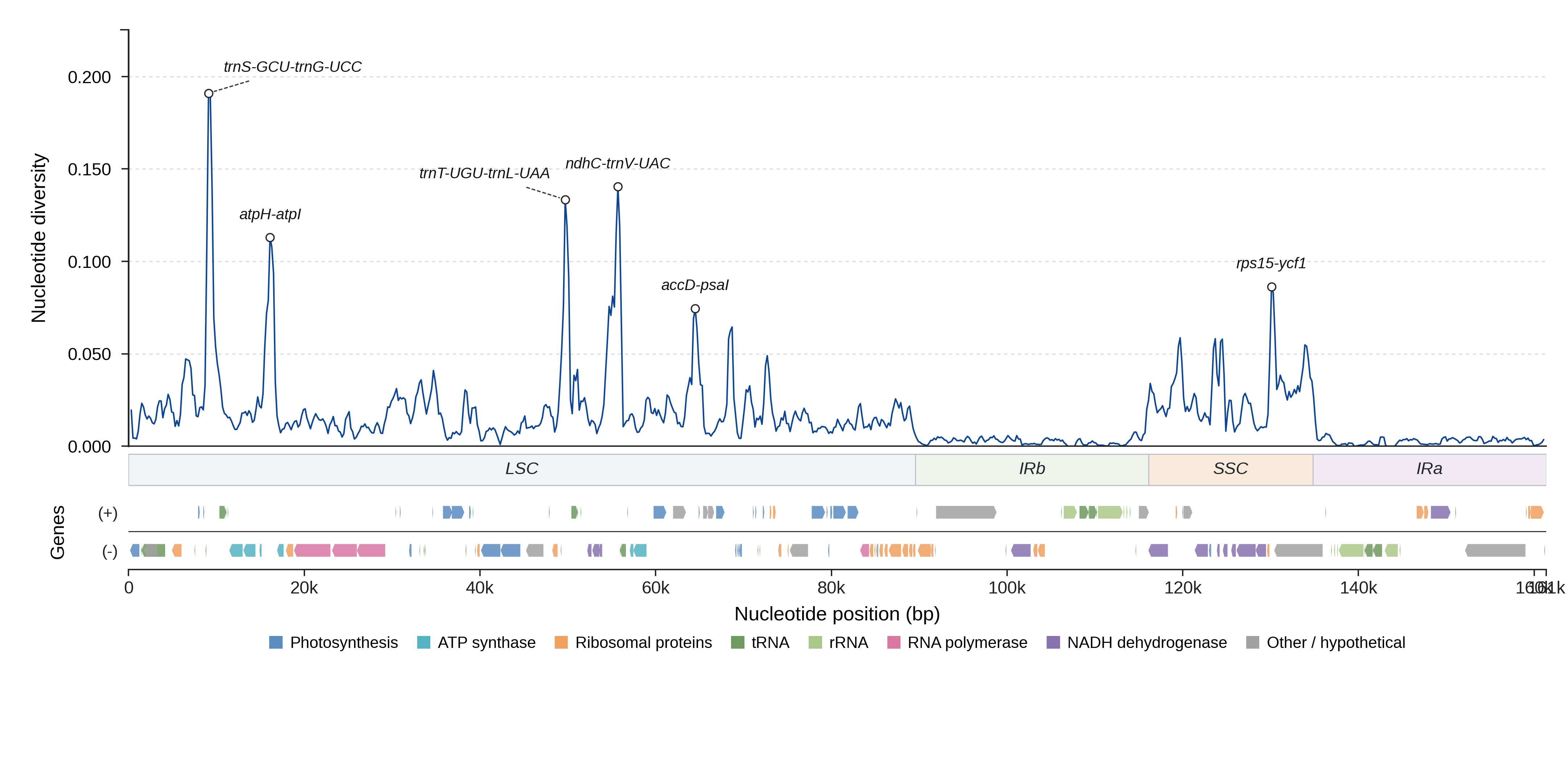 Sliding-window nucleotide diversity
