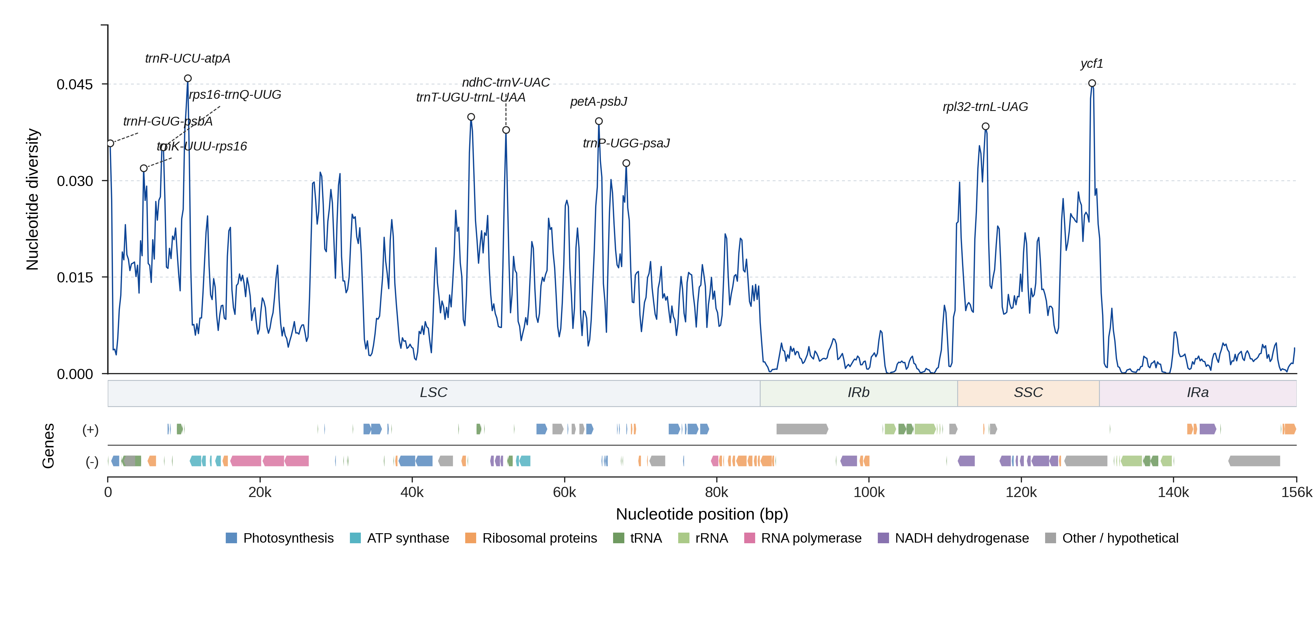 Sliding-window nucleotide diversity