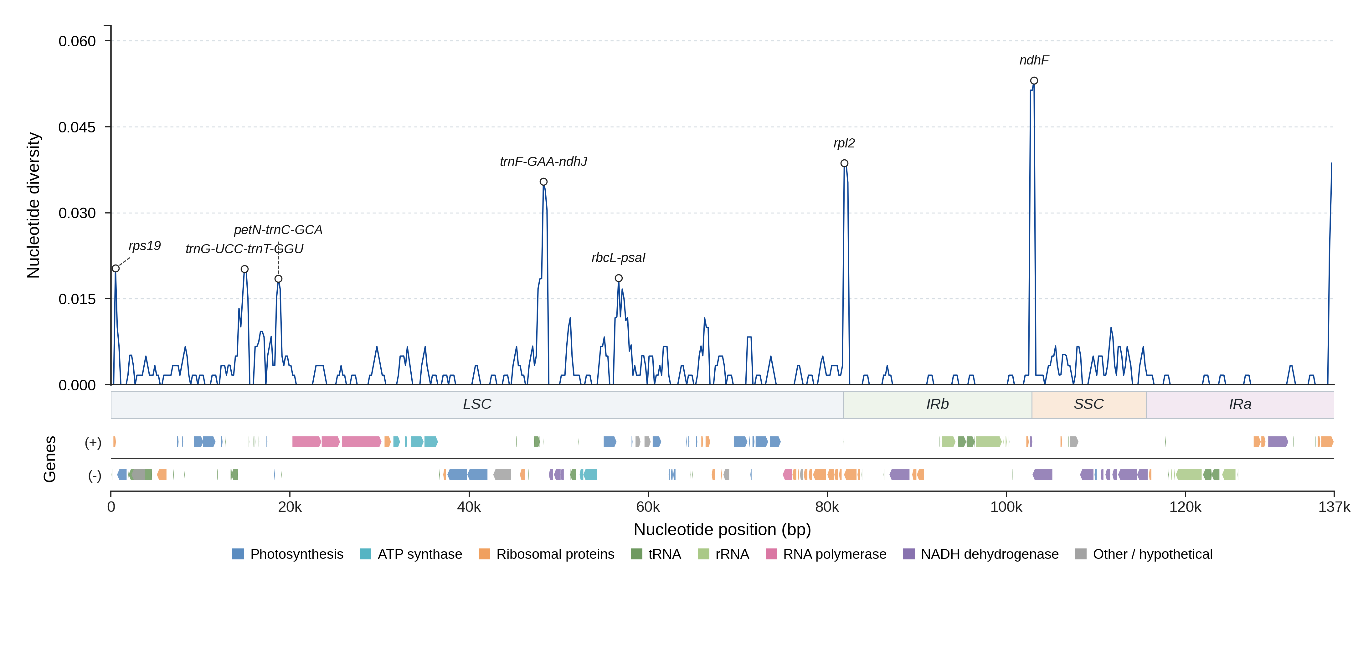 Sliding-window nucleotide diversity