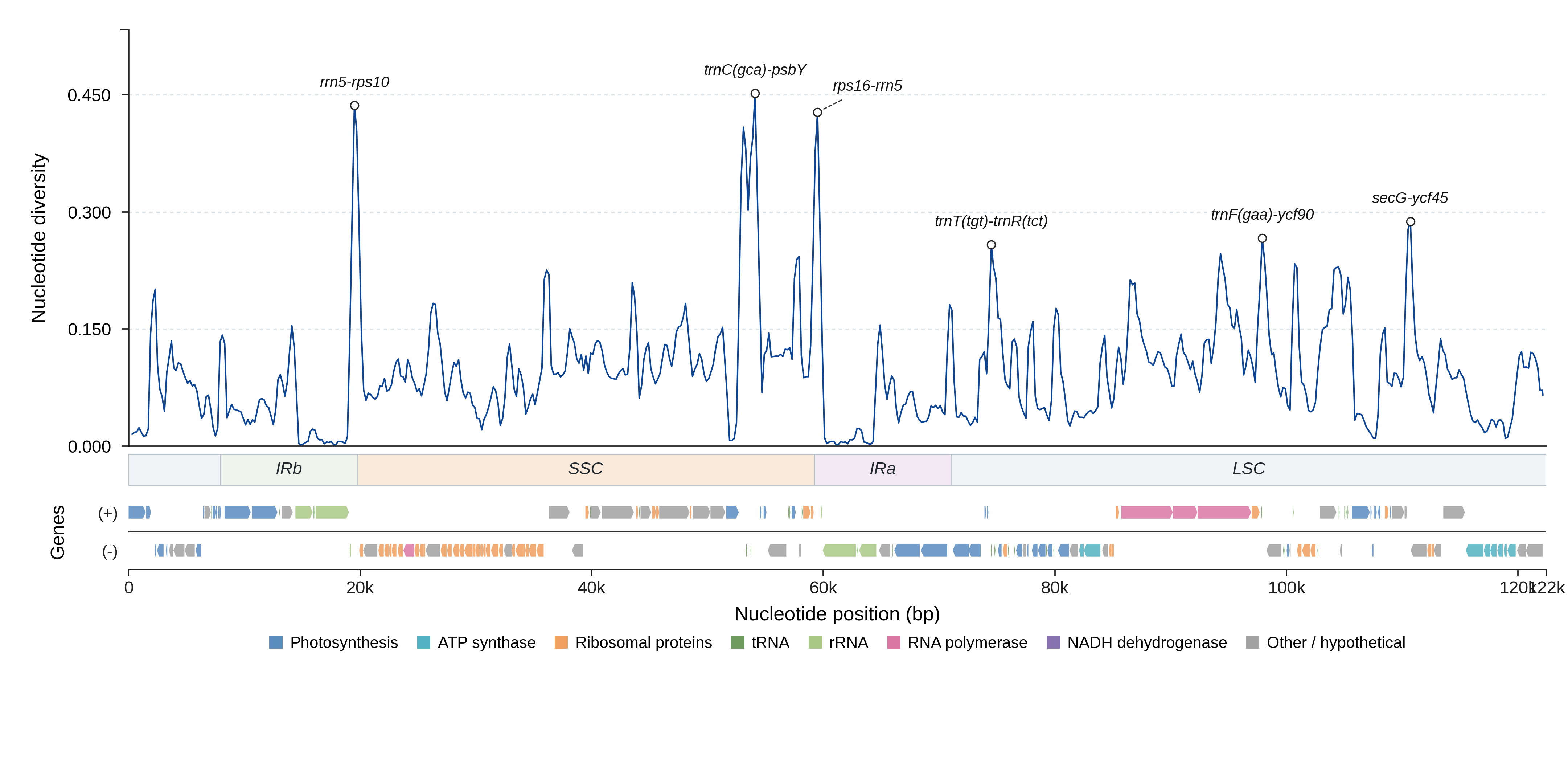 Sliding-window nucleotide diversity