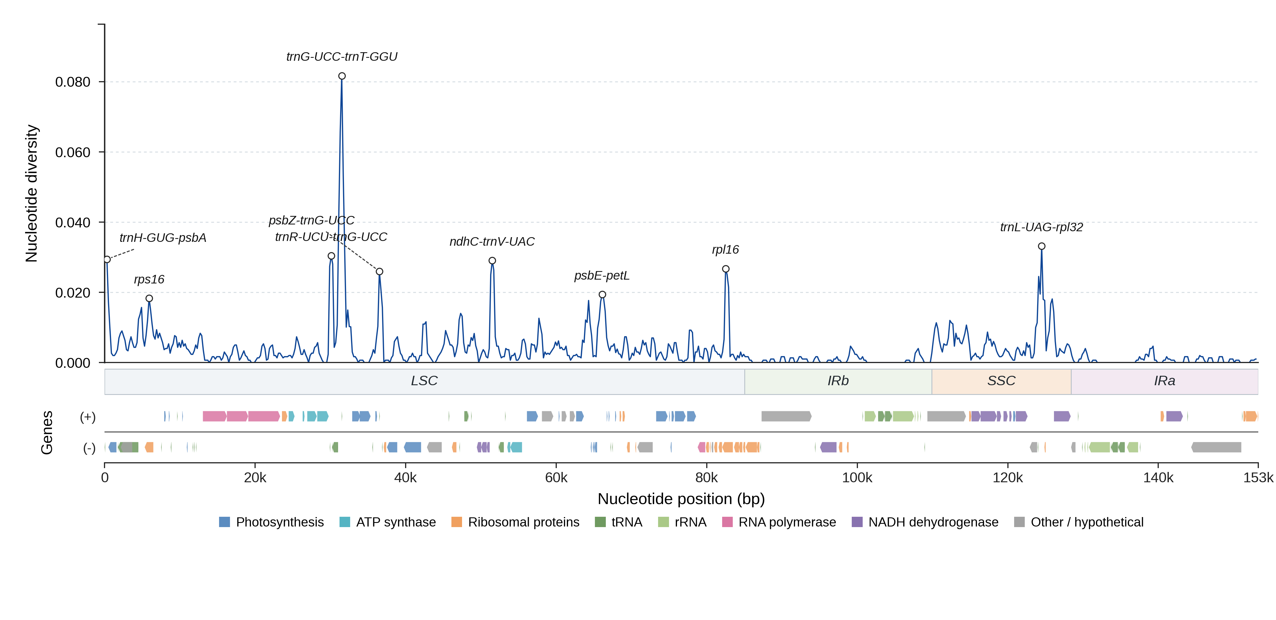 Sliding-window nucleotide diversity