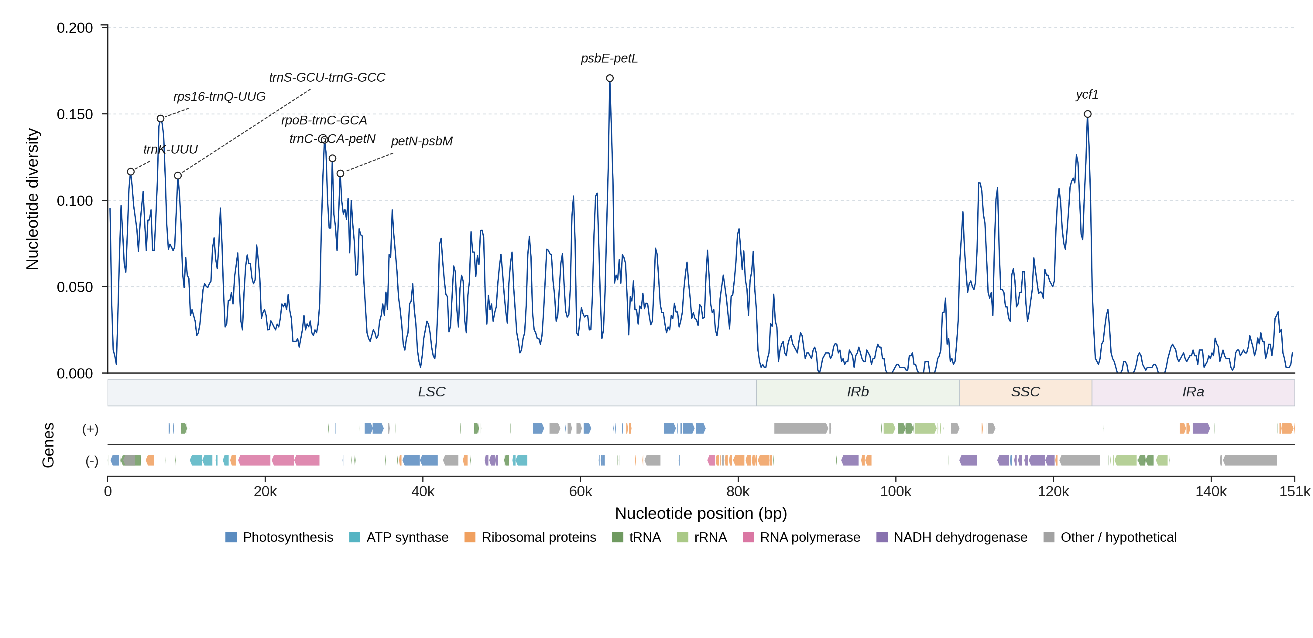 Sliding-window nucleotide diversity