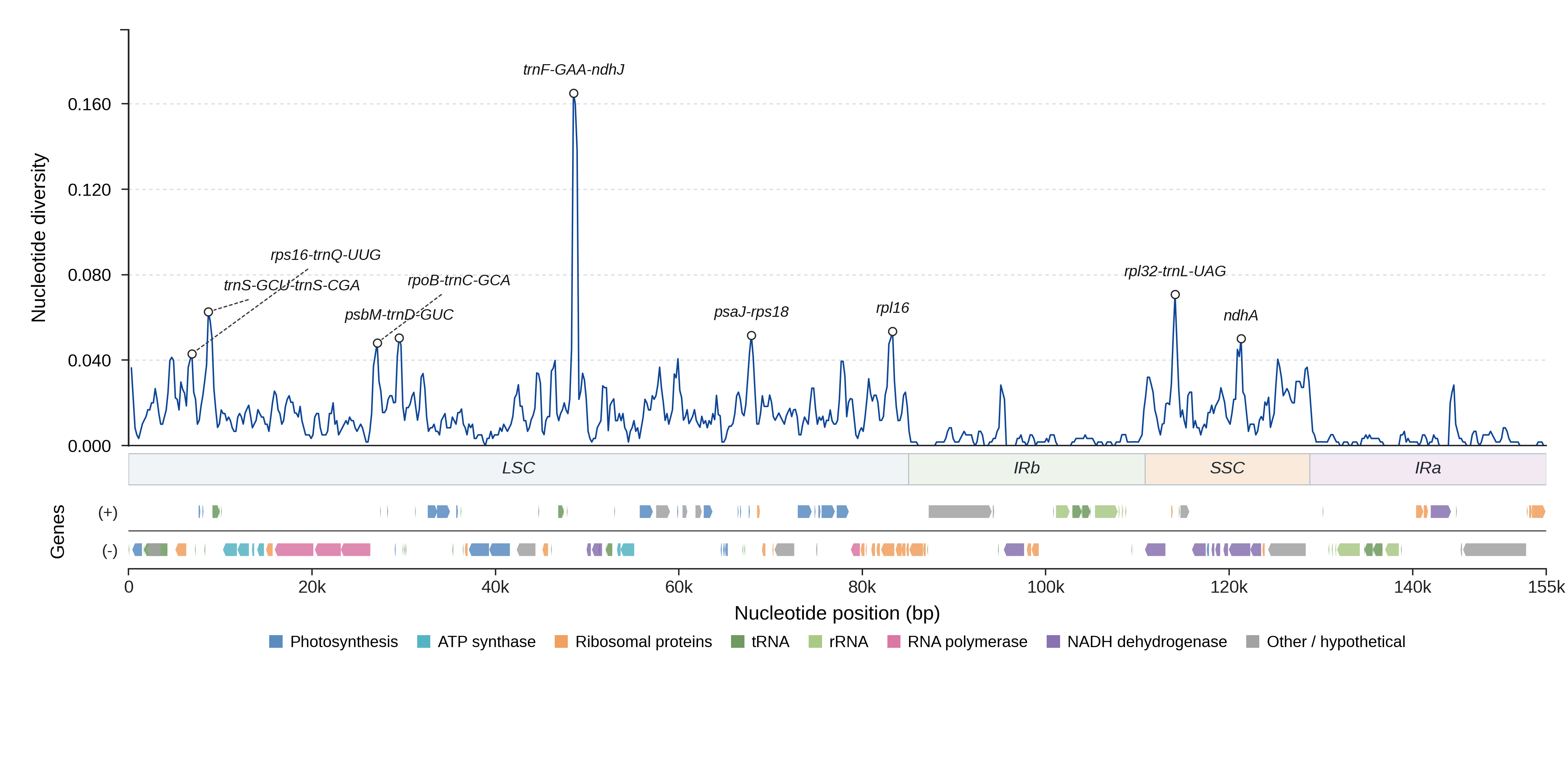 Sliding-window nucleotide diversity