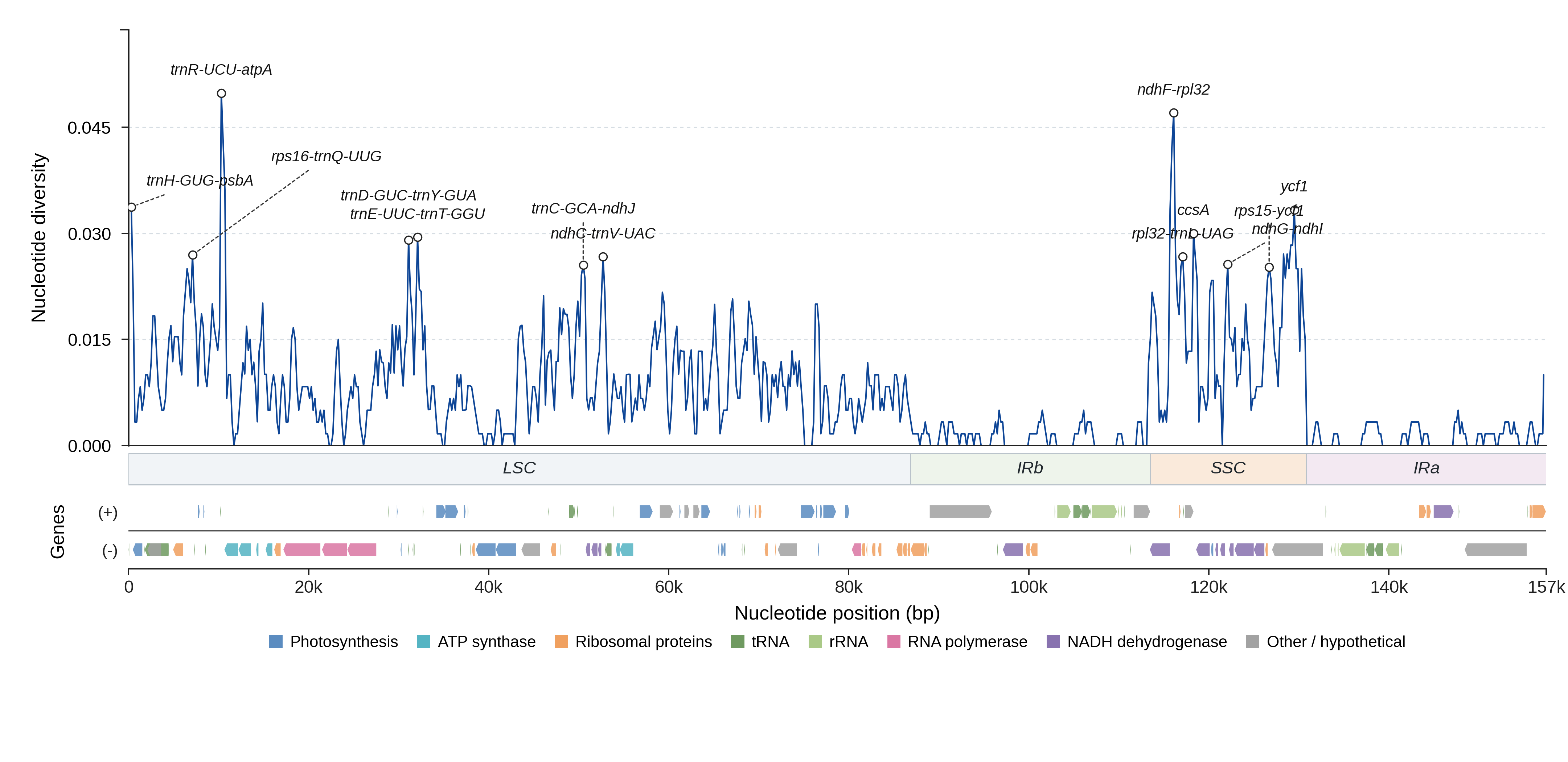 Sliding-window nucleotide diversity