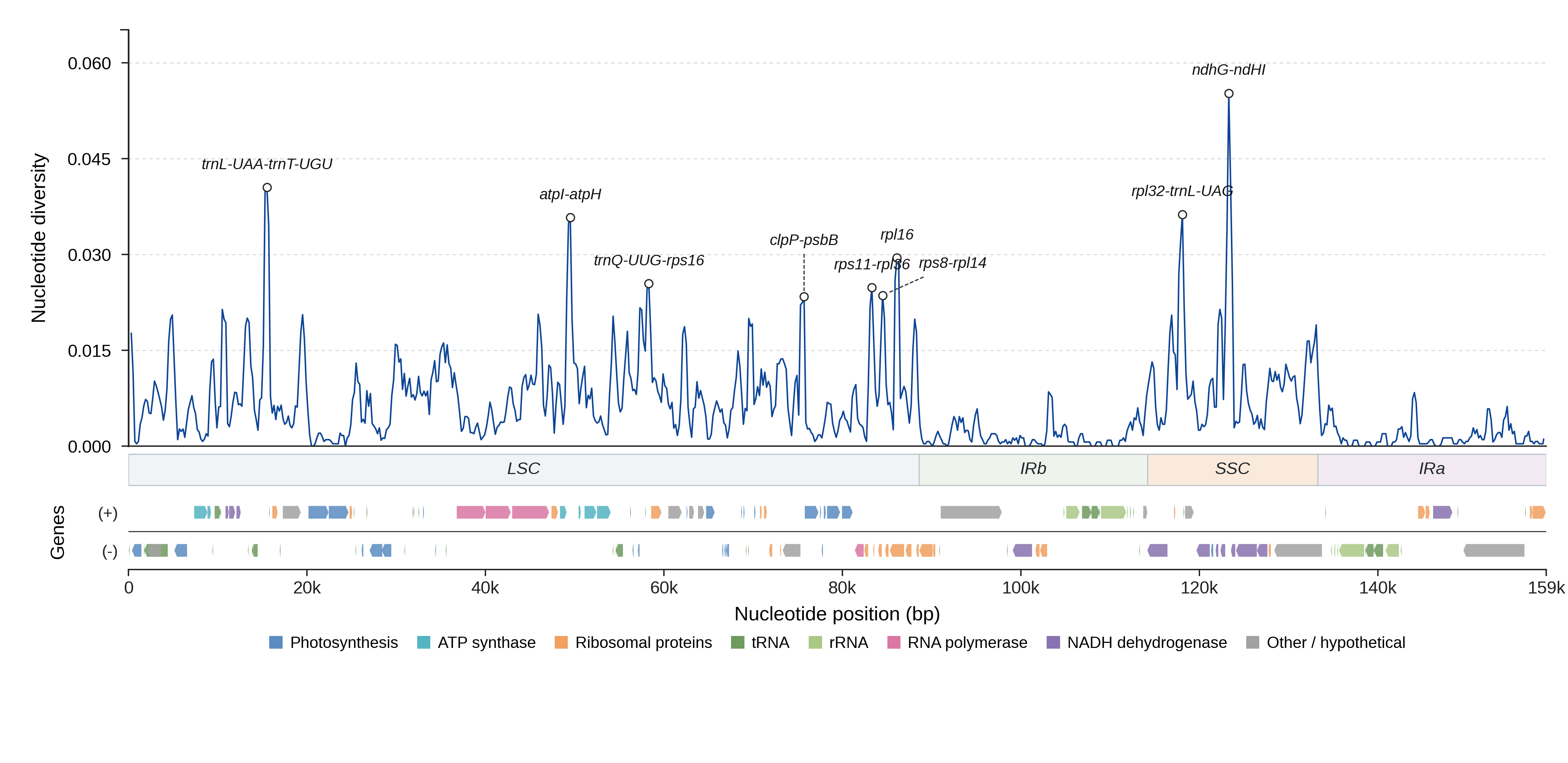 Sliding-window nucleotide diversity