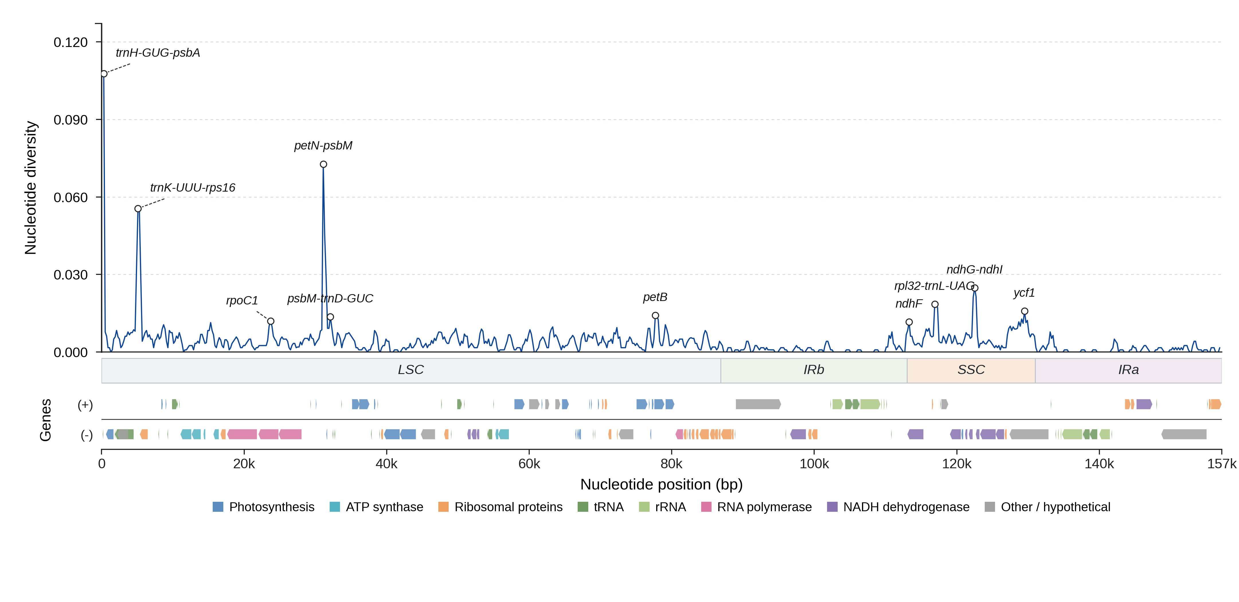 Sliding-window nucleotide diversity
