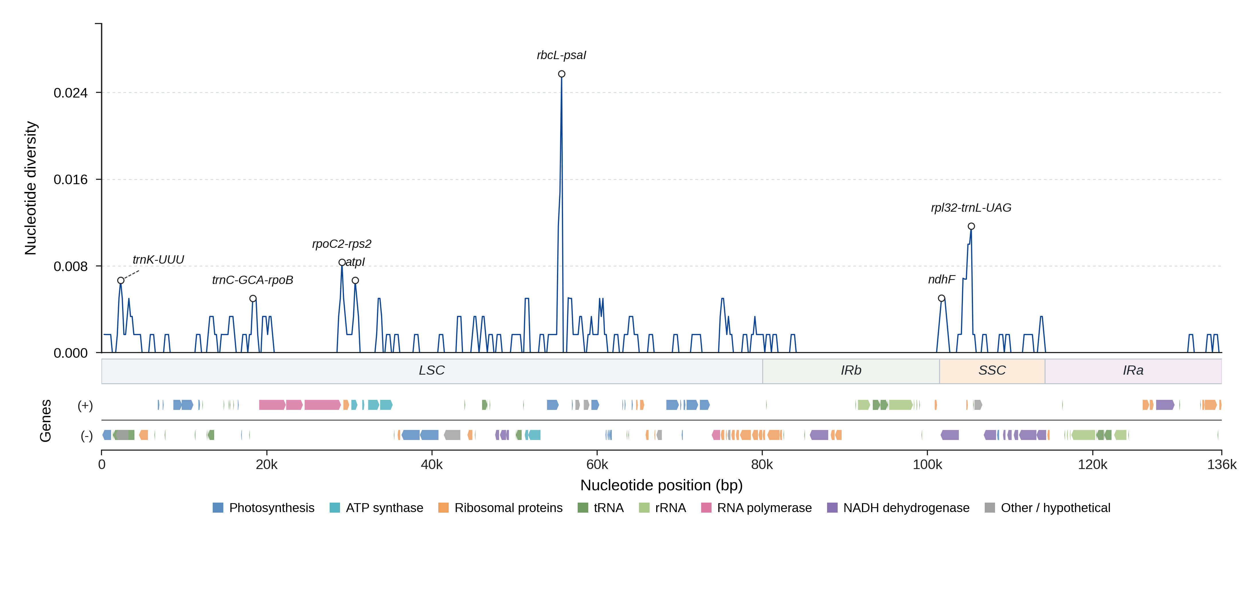 Sliding-window nucleotide diversity