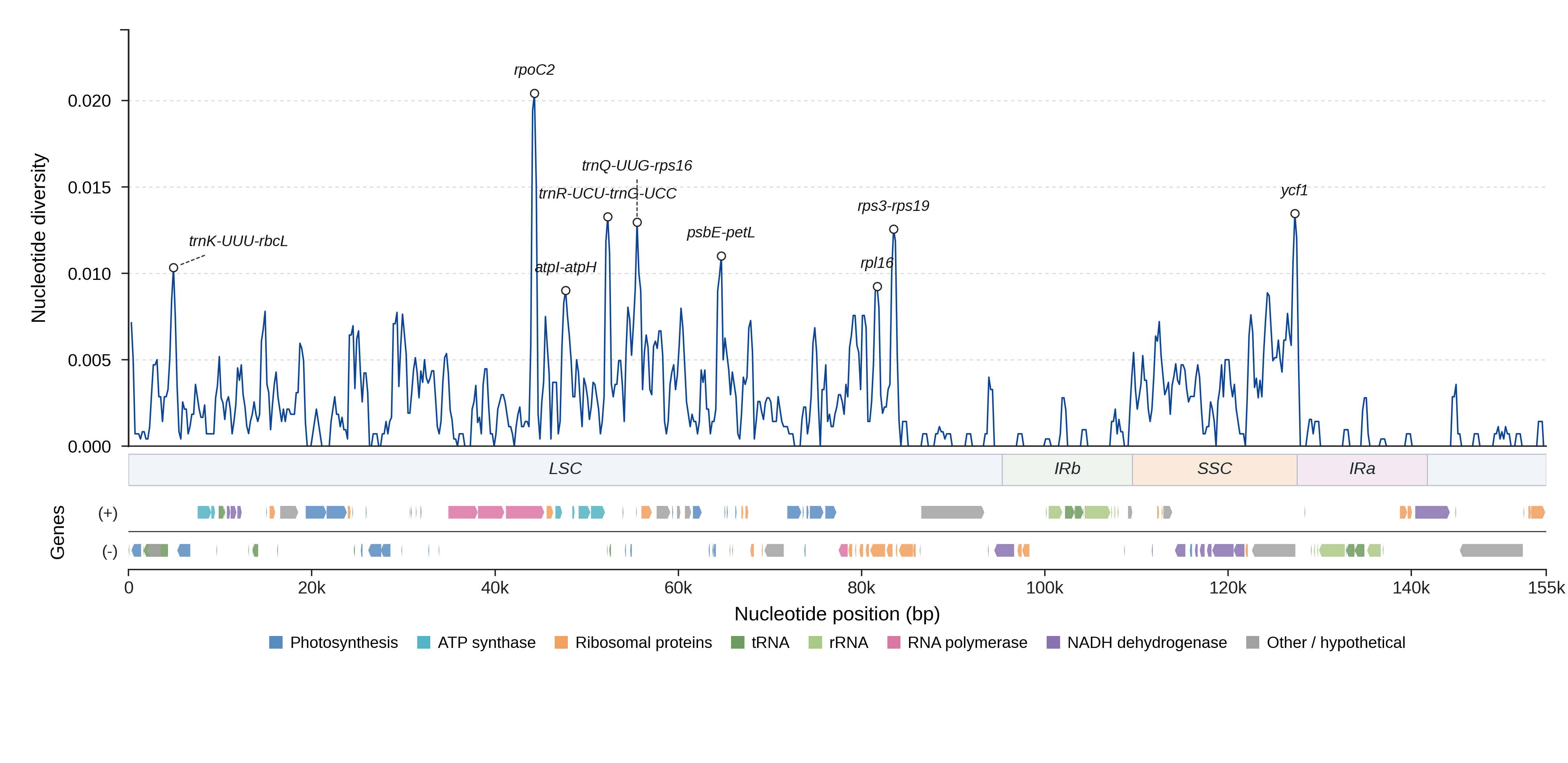 Sliding-window nucleotide diversity