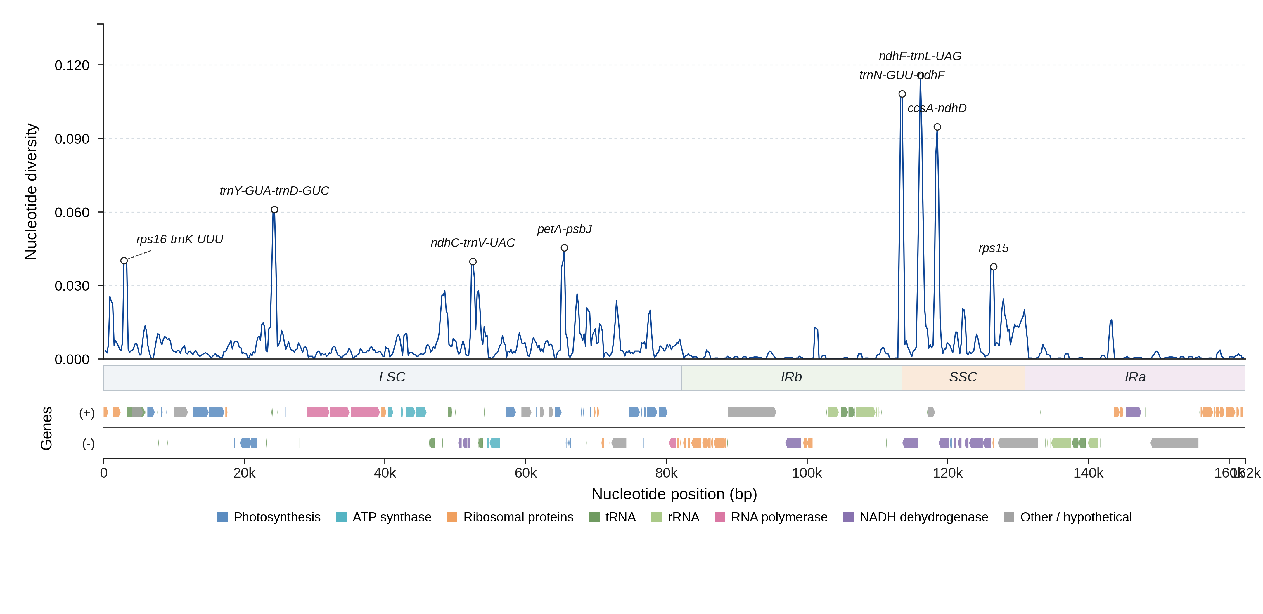 Sliding-window nucleotide diversity