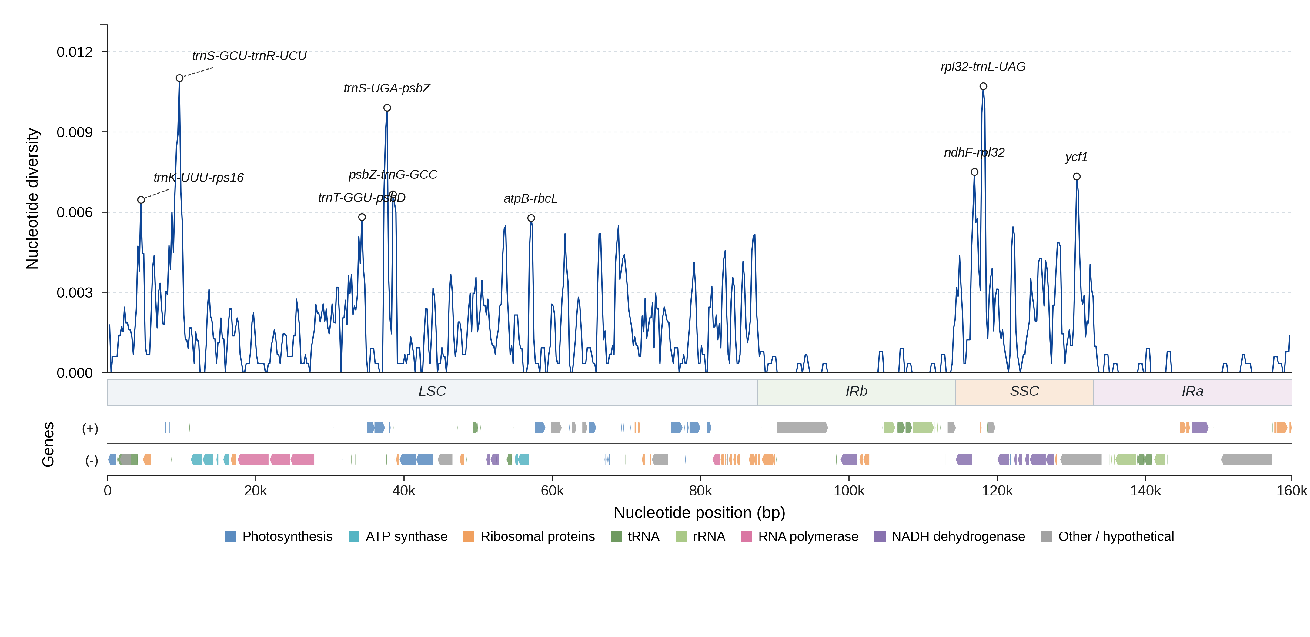Sliding-window nucleotide diversity