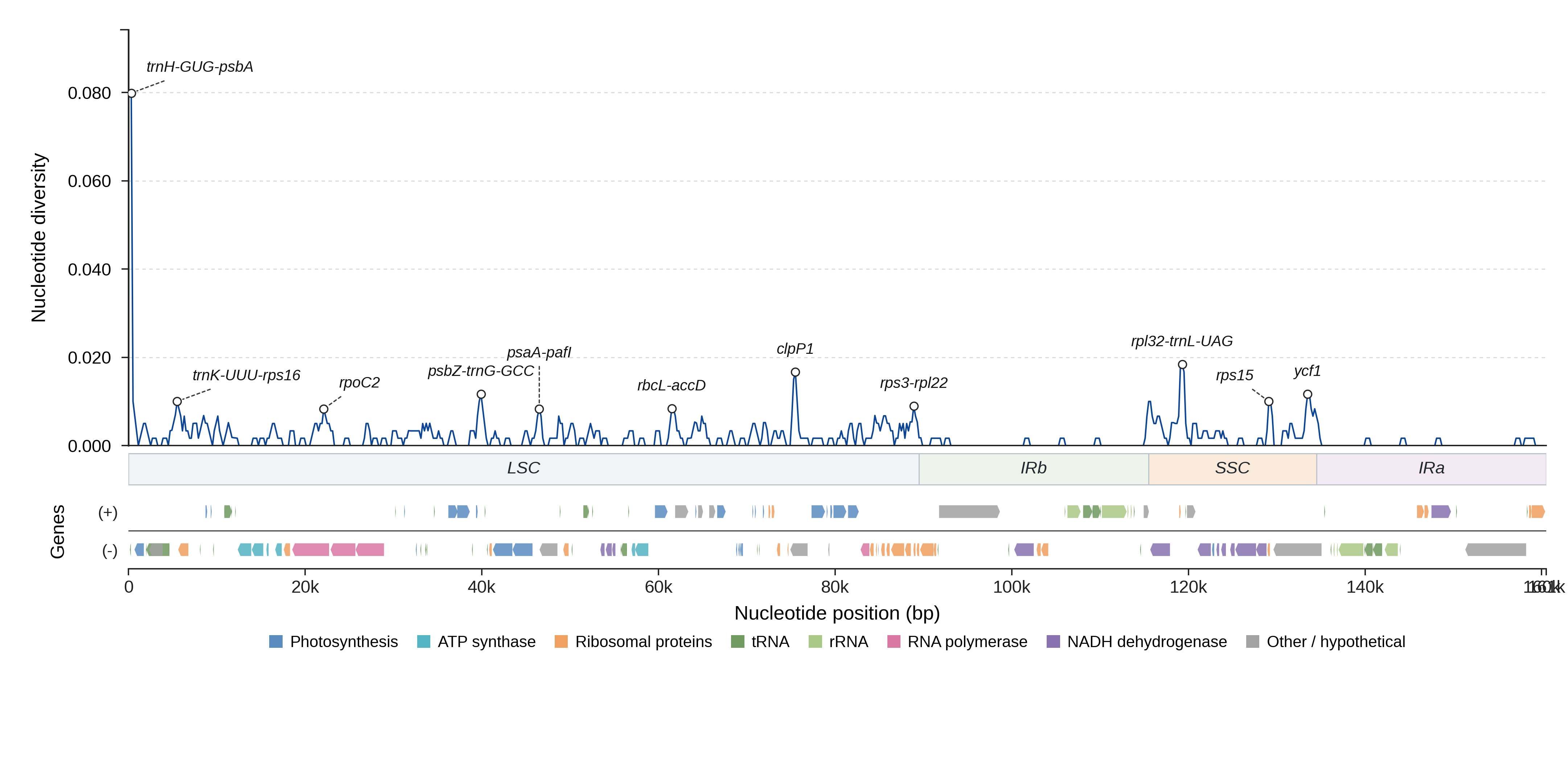 Sliding-window nucleotide diversity