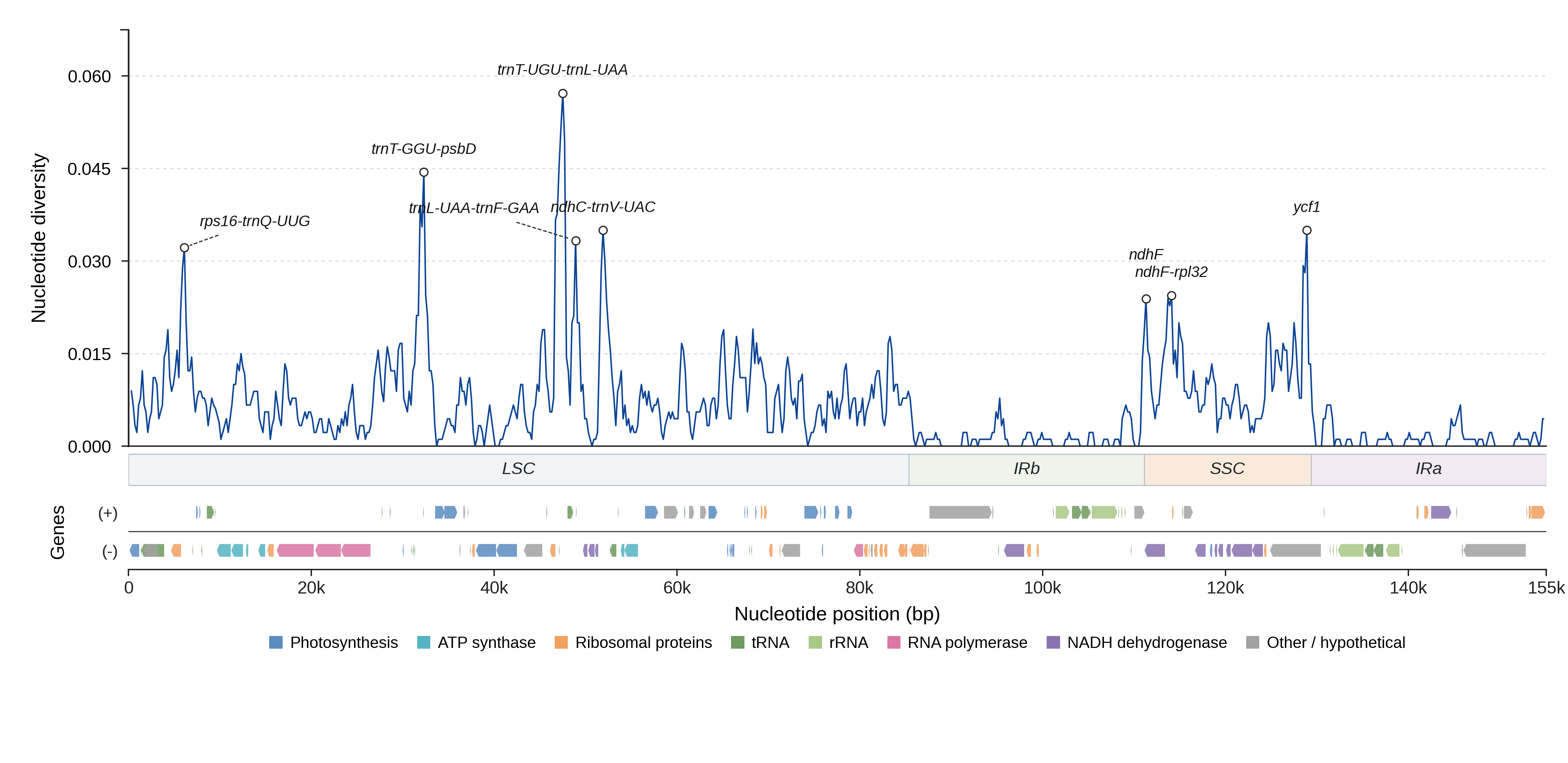 Sliding-window nucleotide diversity