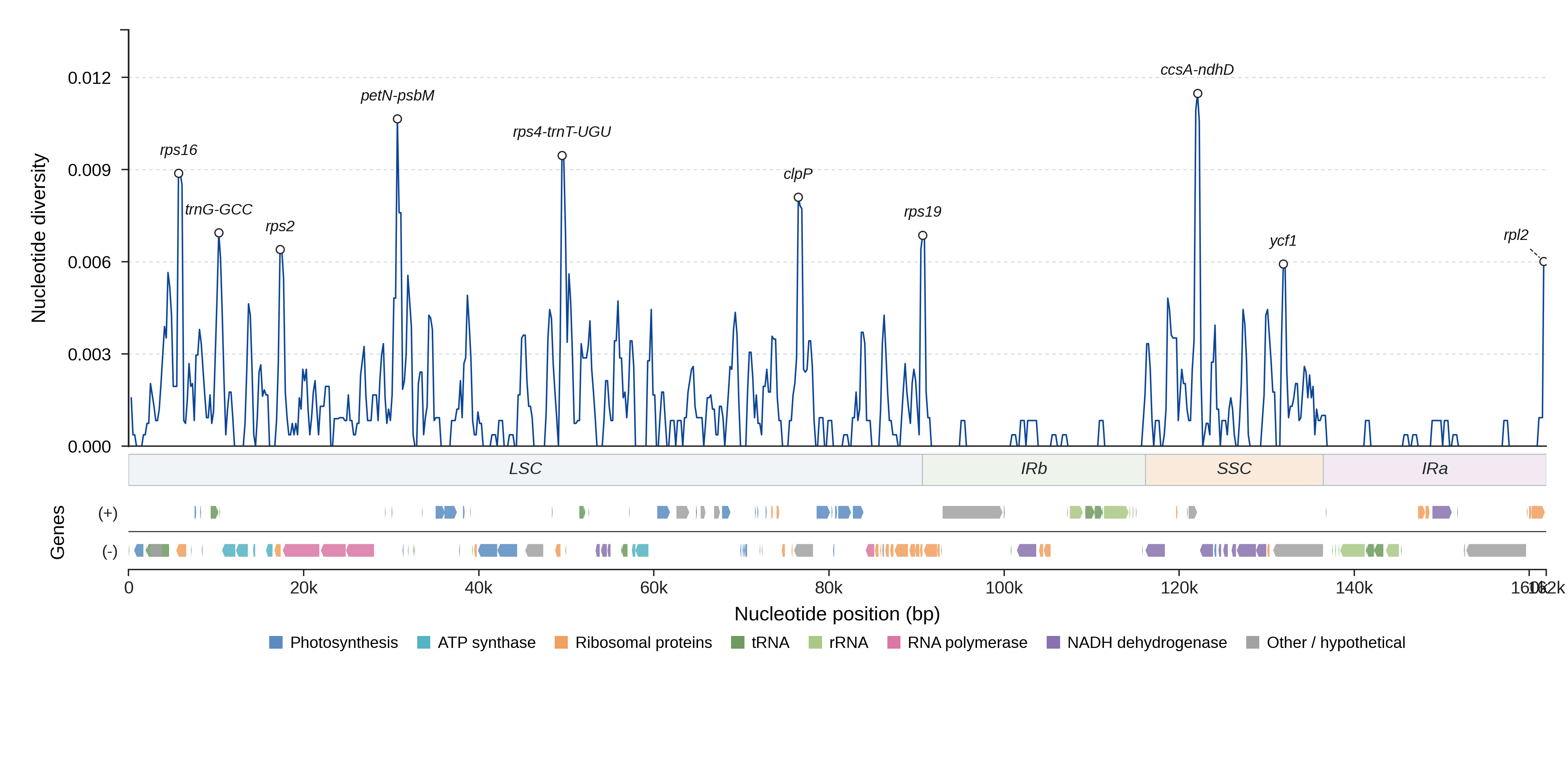 Sliding-window nucleotide diversity
