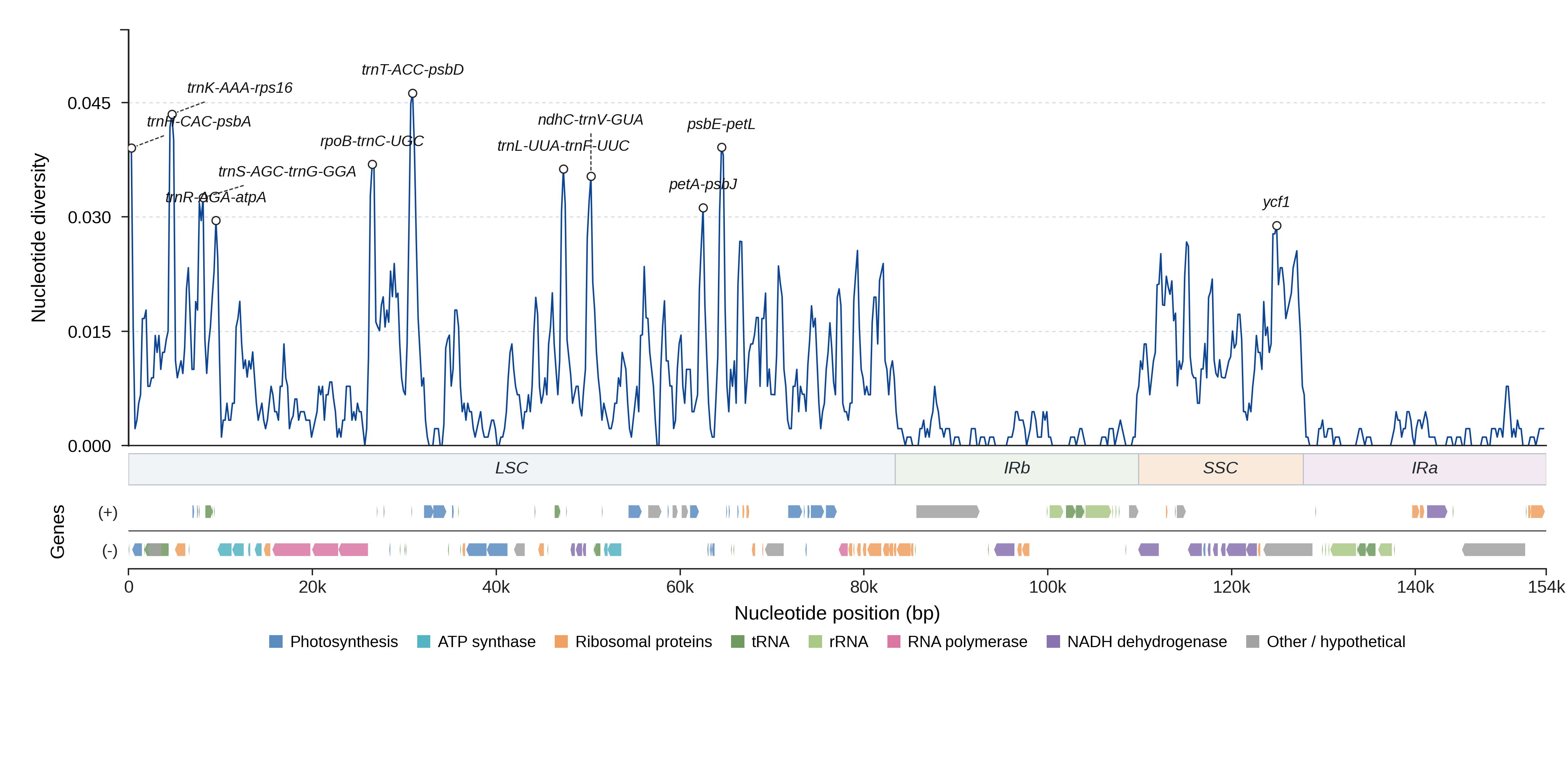 Sliding-window nucleotide diversity
