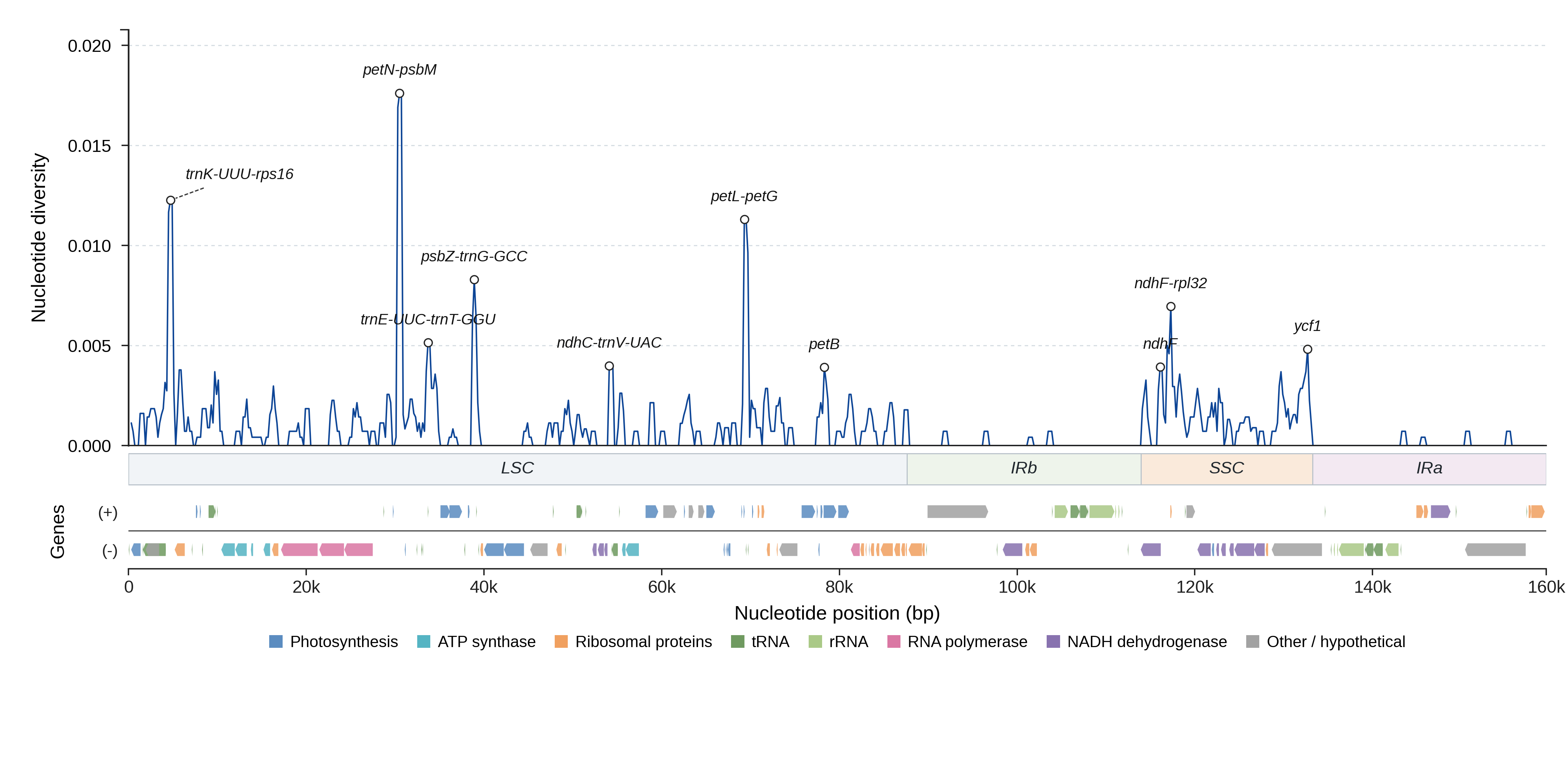 Sliding-window nucleotide diversity