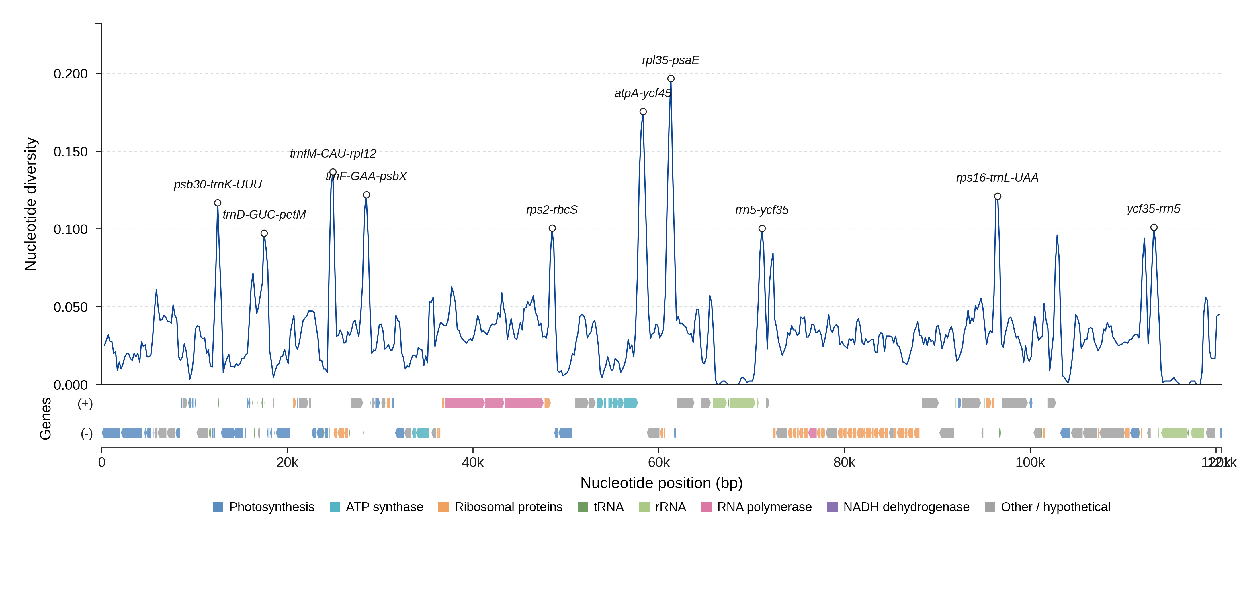 Sliding-window nucleotide diversity