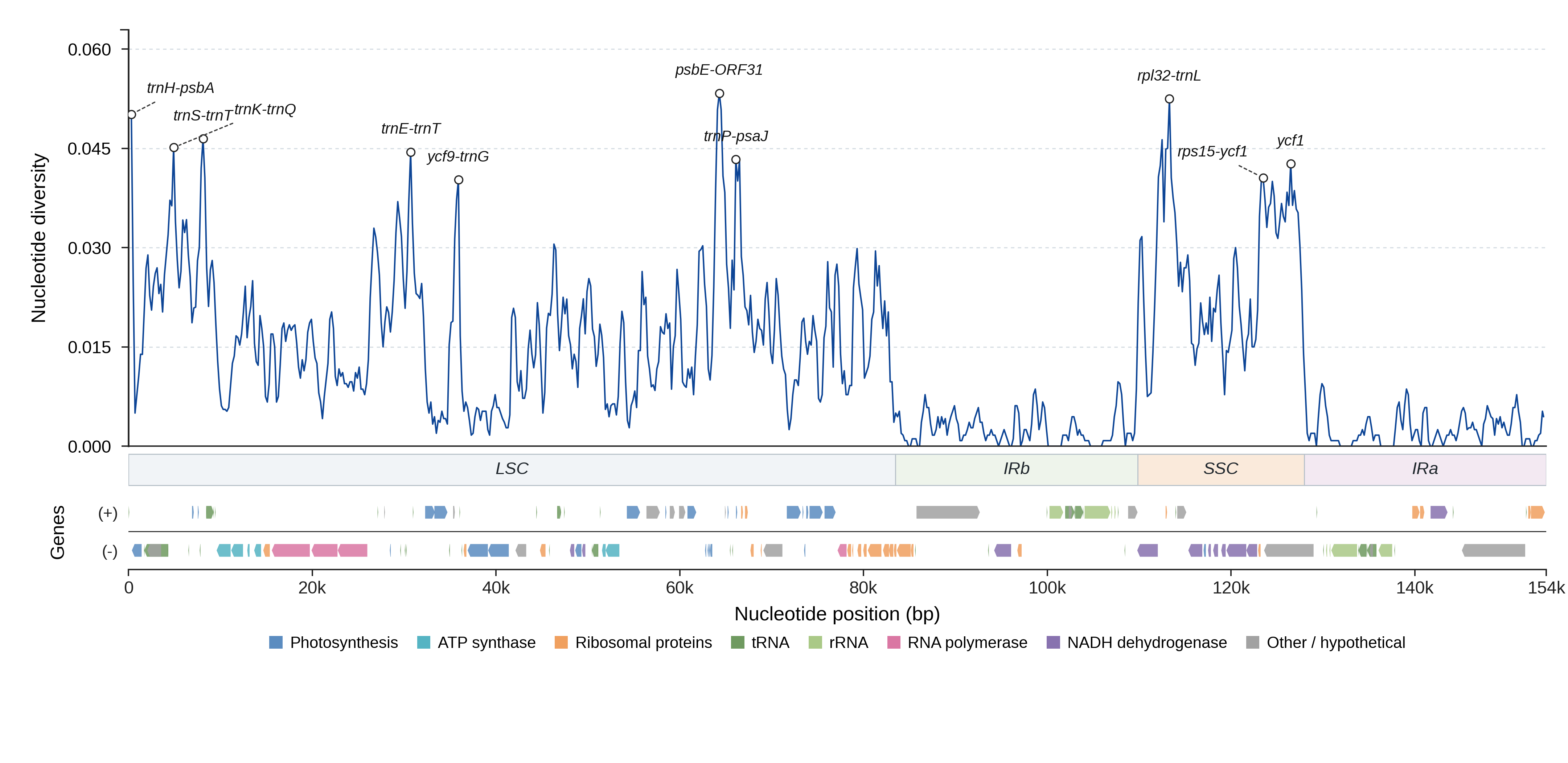 Sliding-window nucleotide diversity