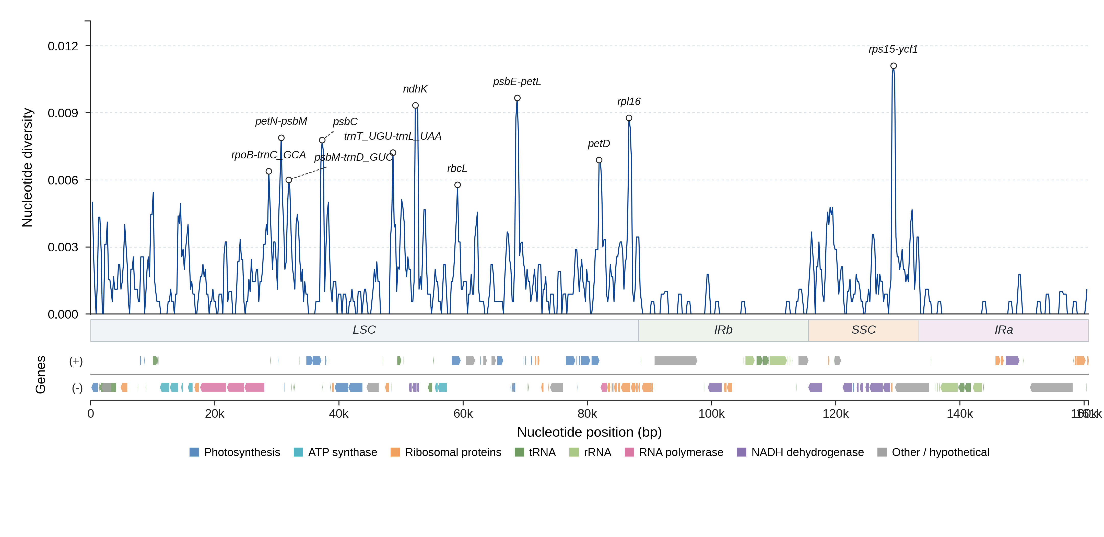 Sliding-window nucleotide diversity