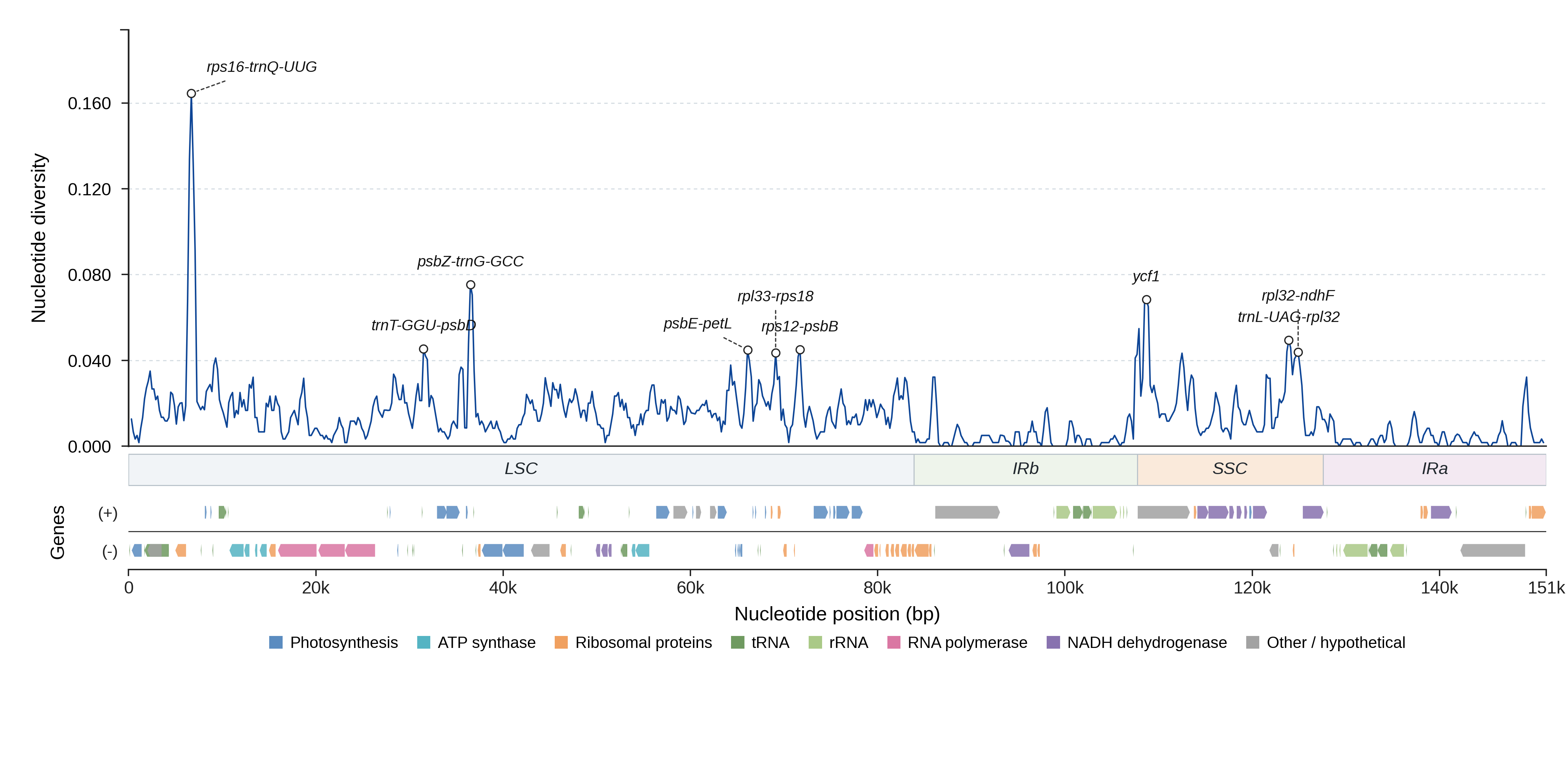 Sliding-window nucleotide diversity