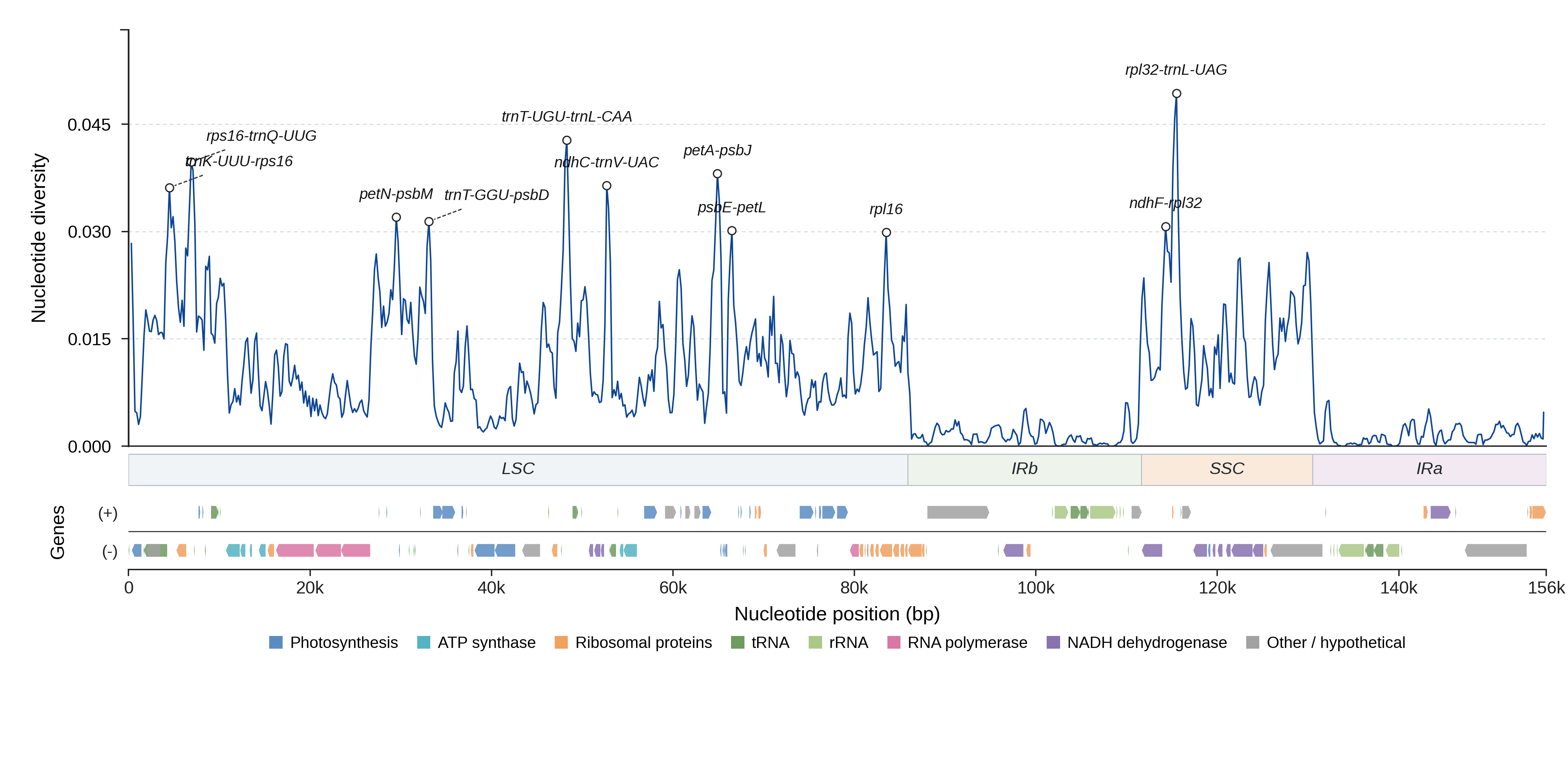 Sliding-window nucleotide diversity