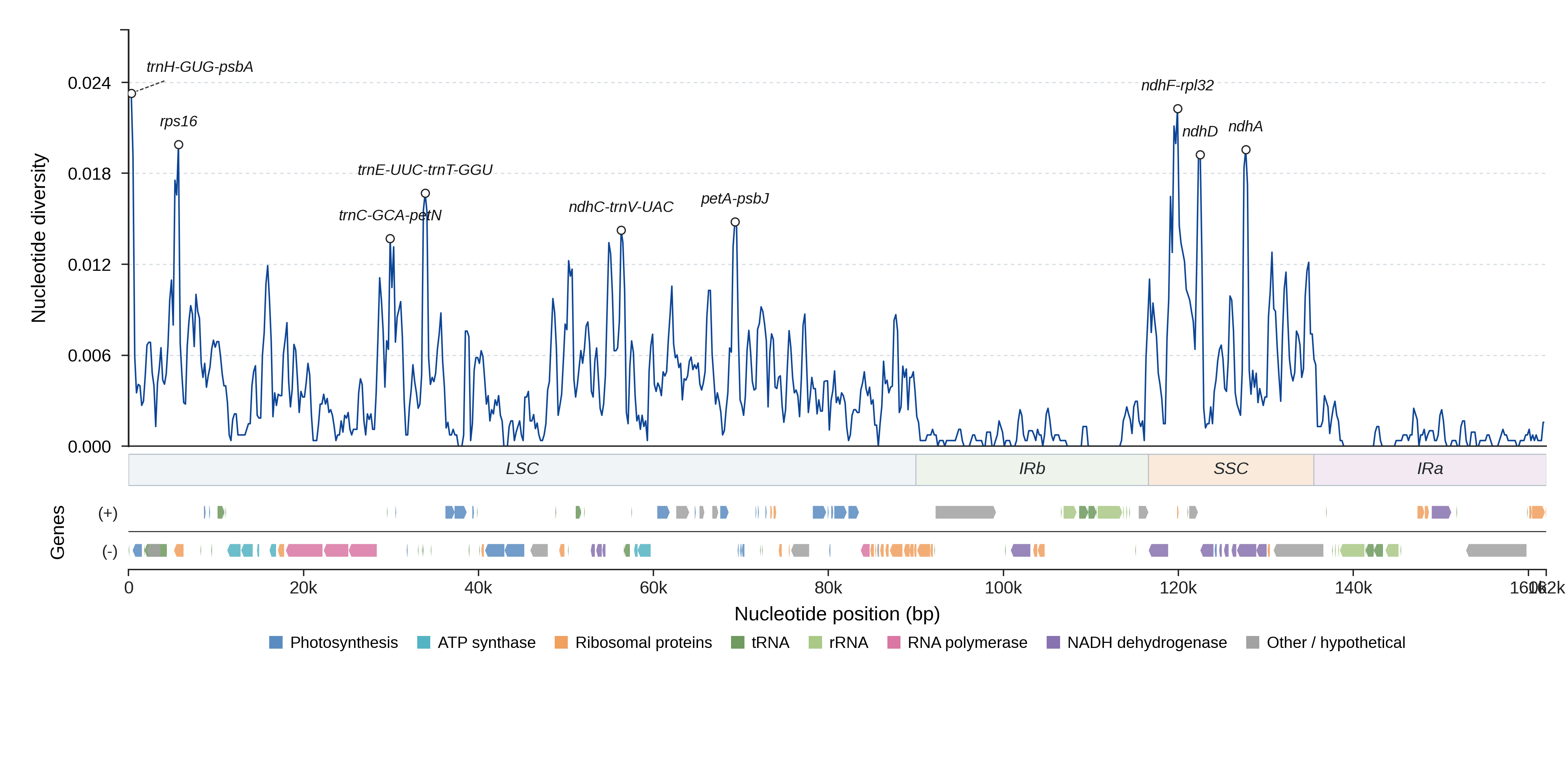 Sliding-window nucleotide diversity