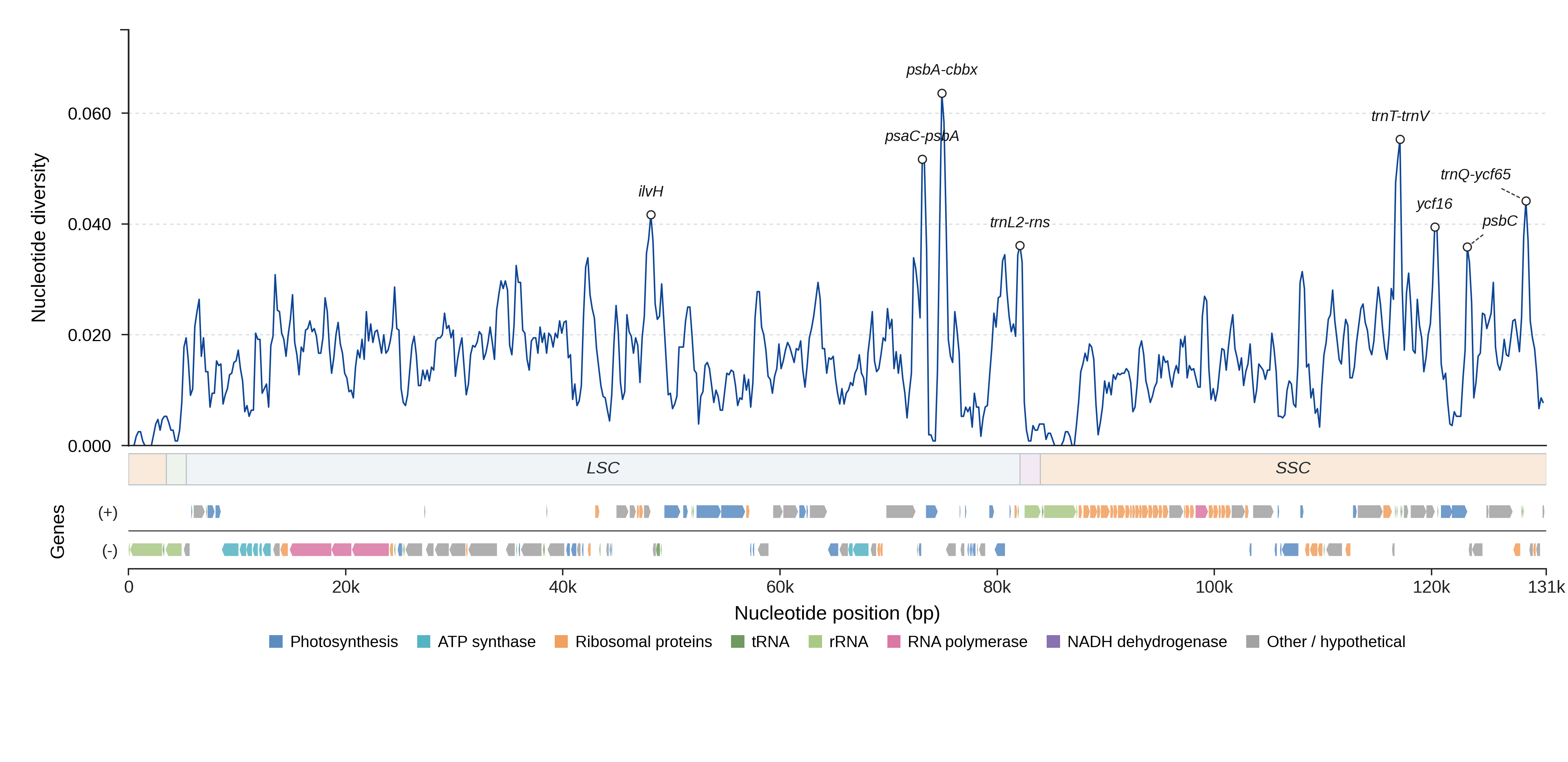 Sliding-window nucleotide diversity