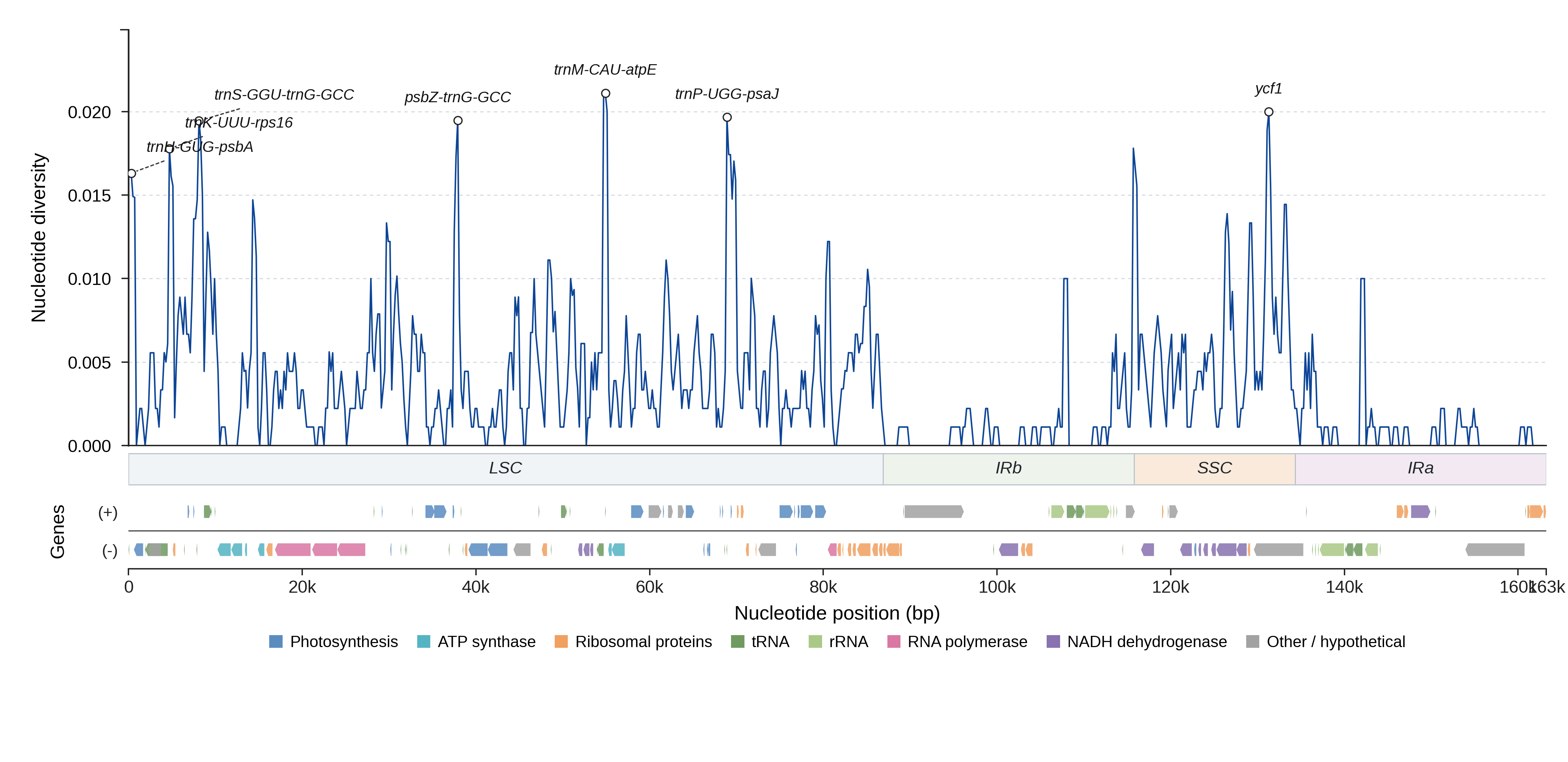 Sliding-window nucleotide diversity