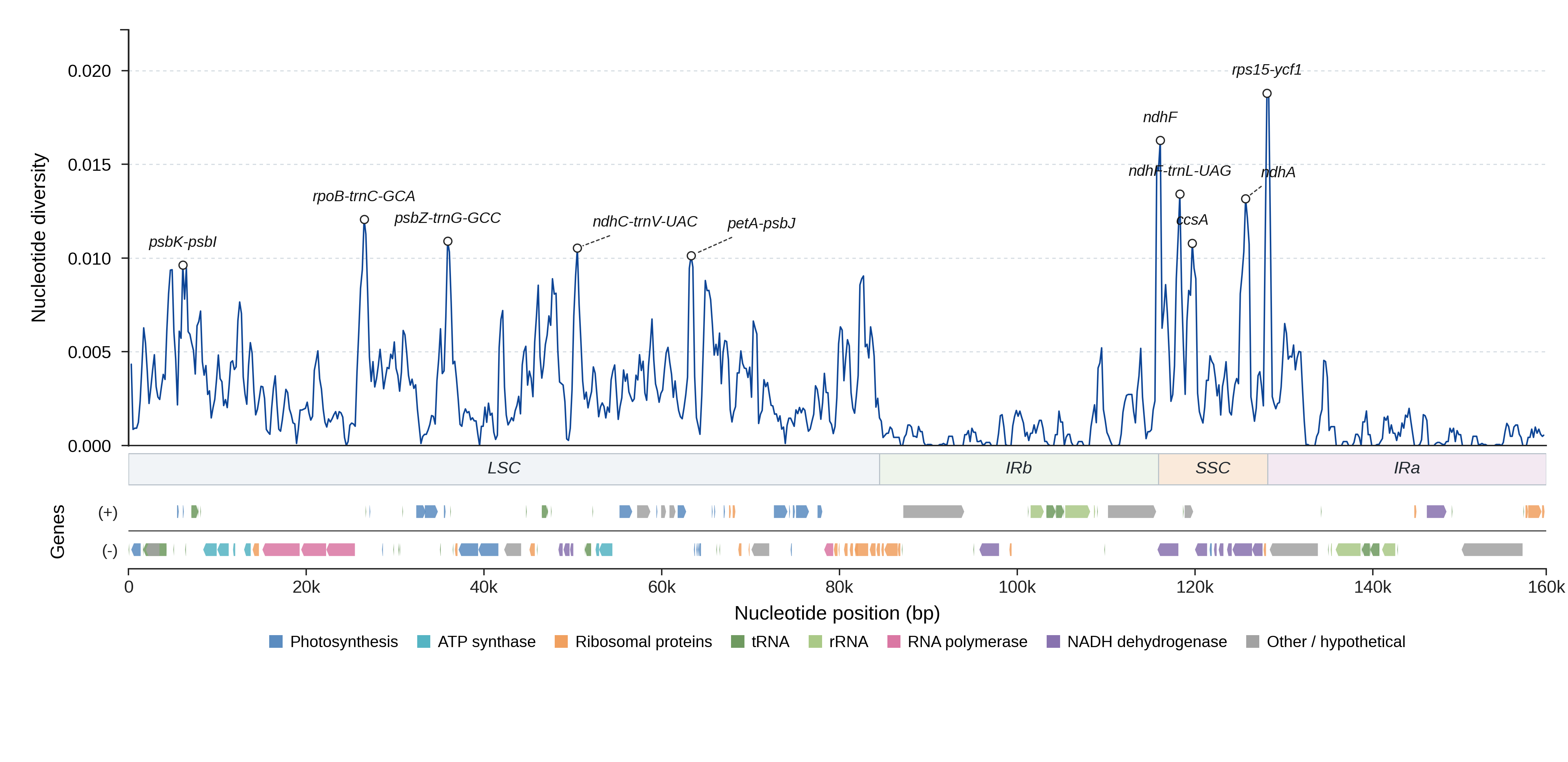 Sliding-window nucleotide diversity