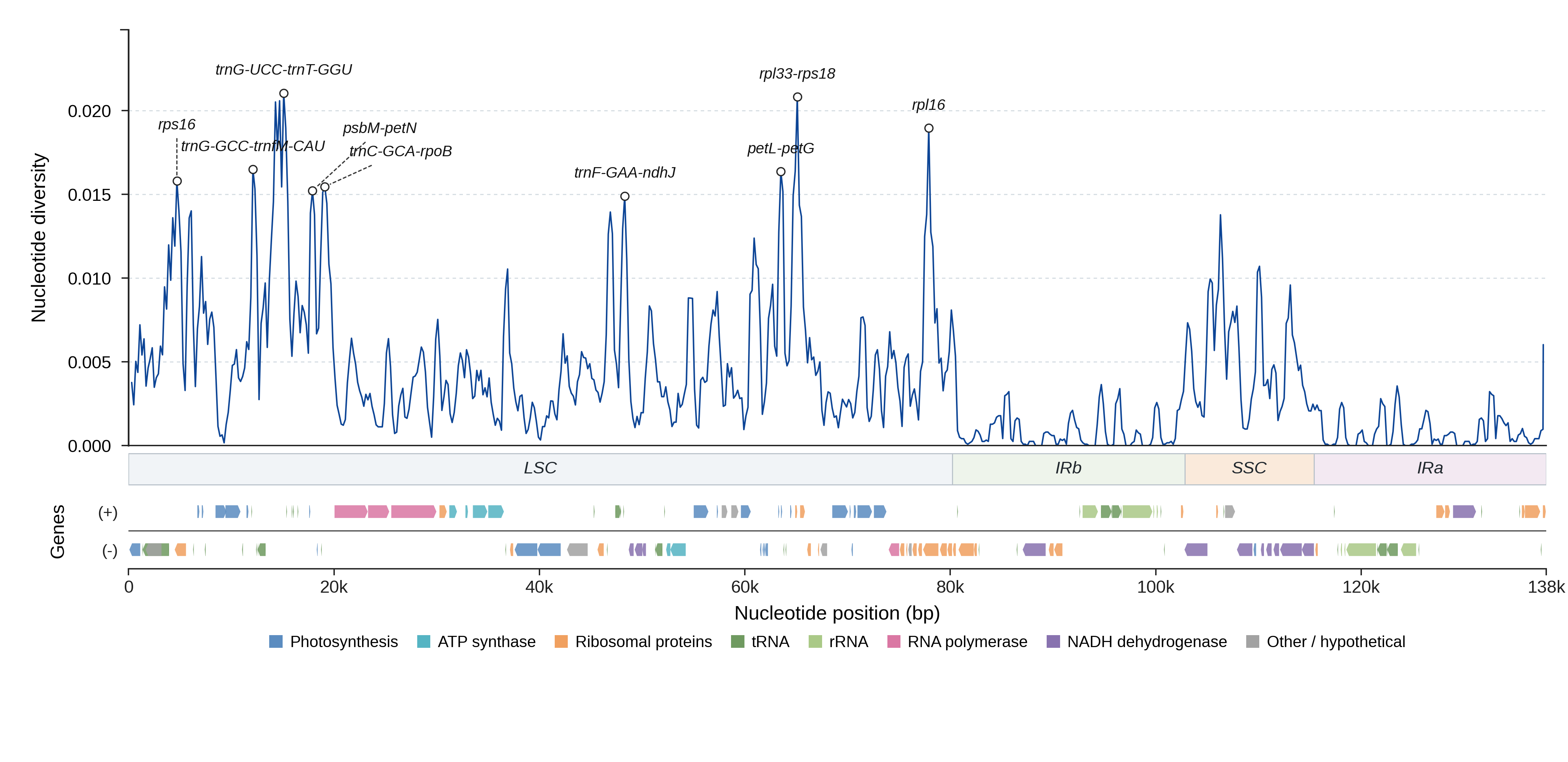 Sliding-window nucleotide diversity