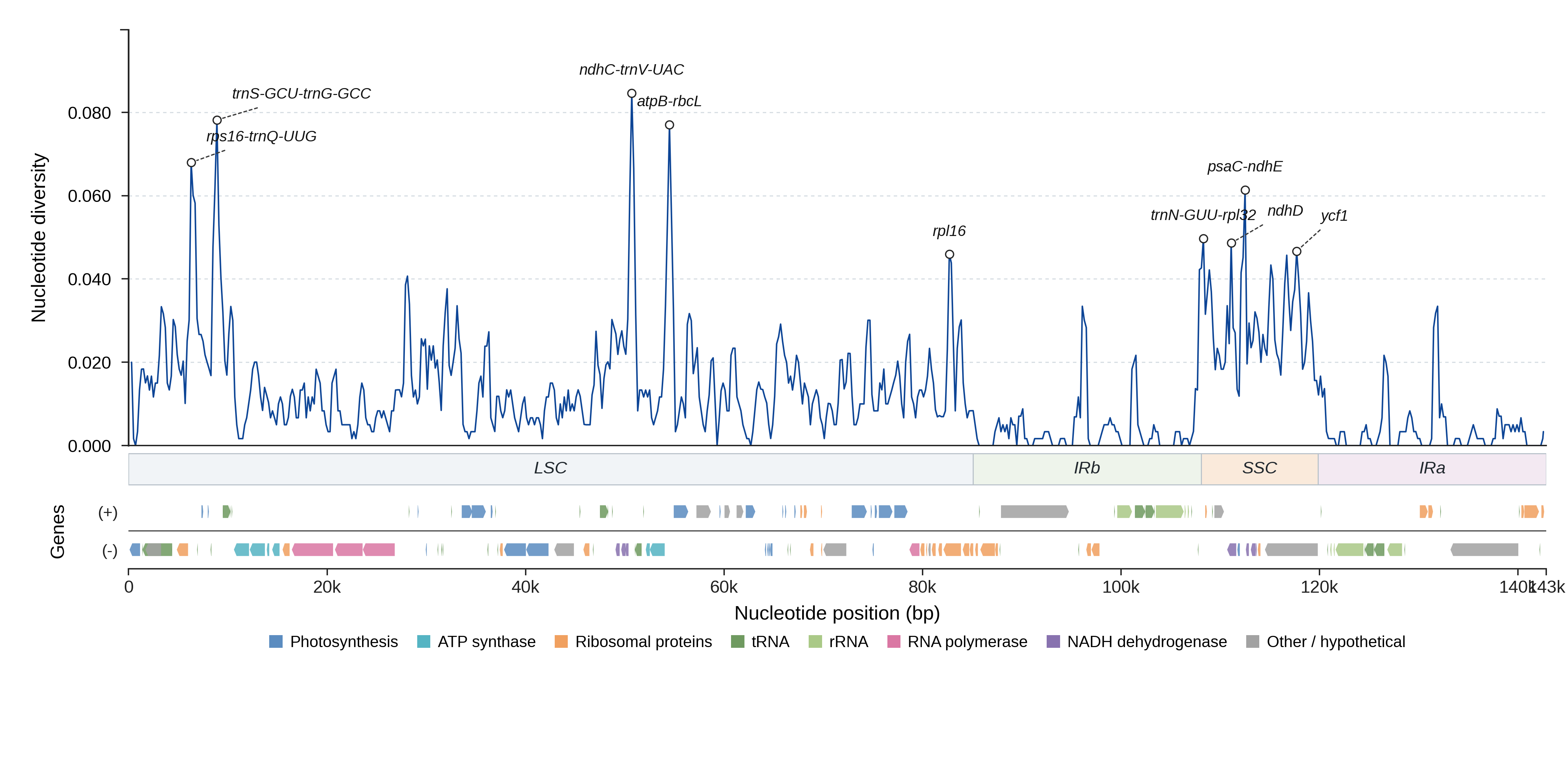 Sliding-window nucleotide diversity
