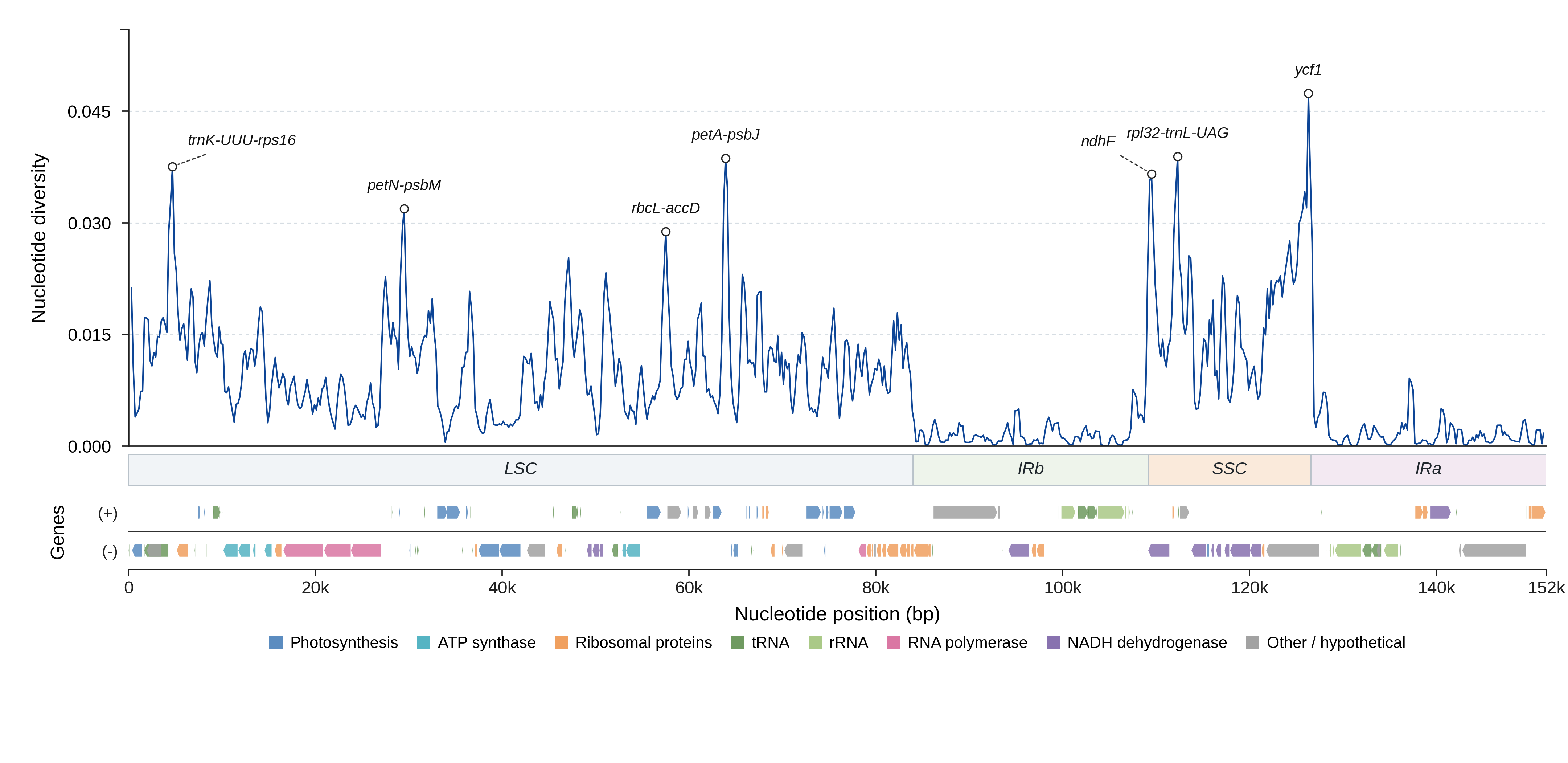 Sliding-window nucleotide diversity