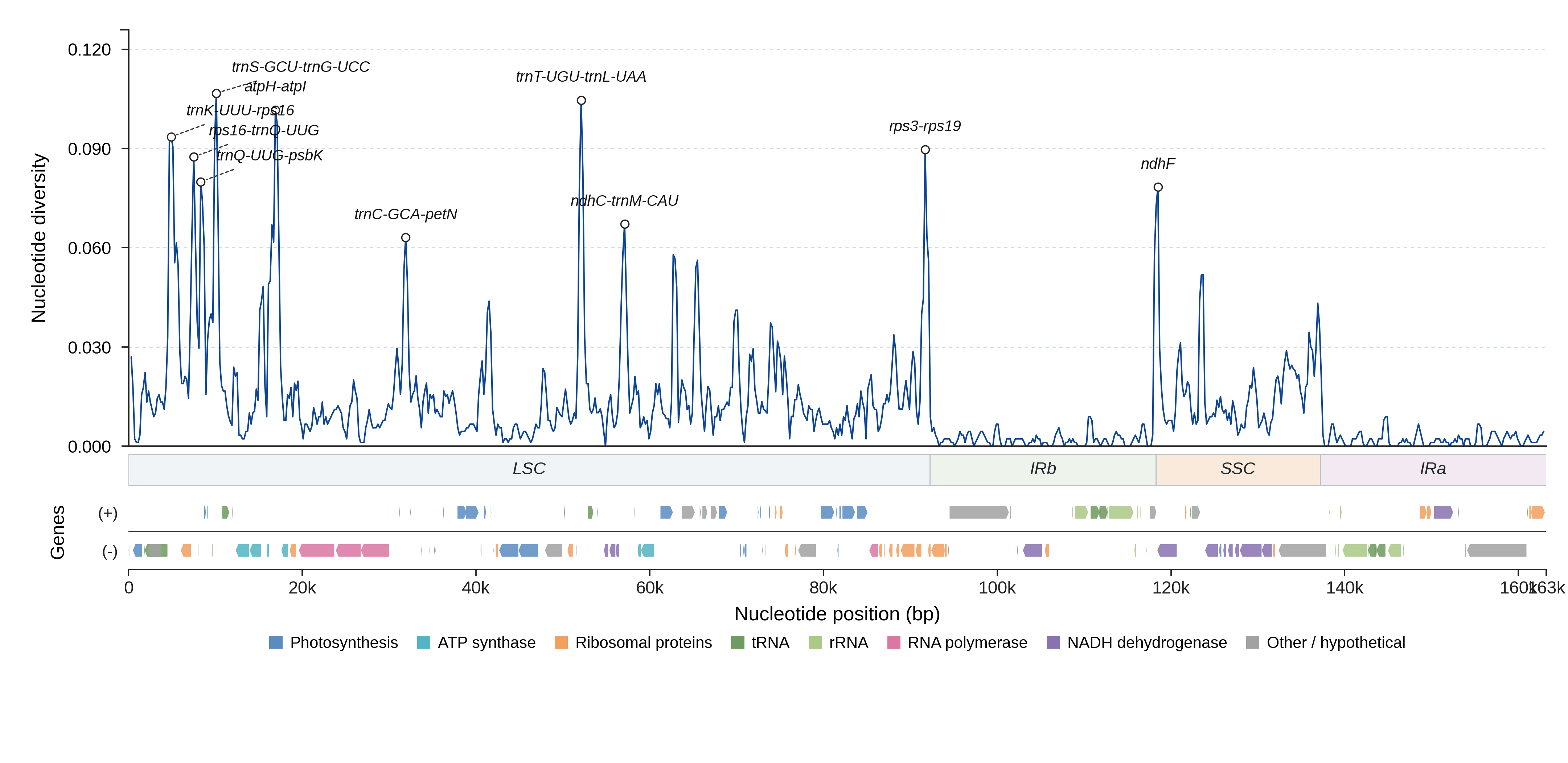 Sliding-window nucleotide diversity