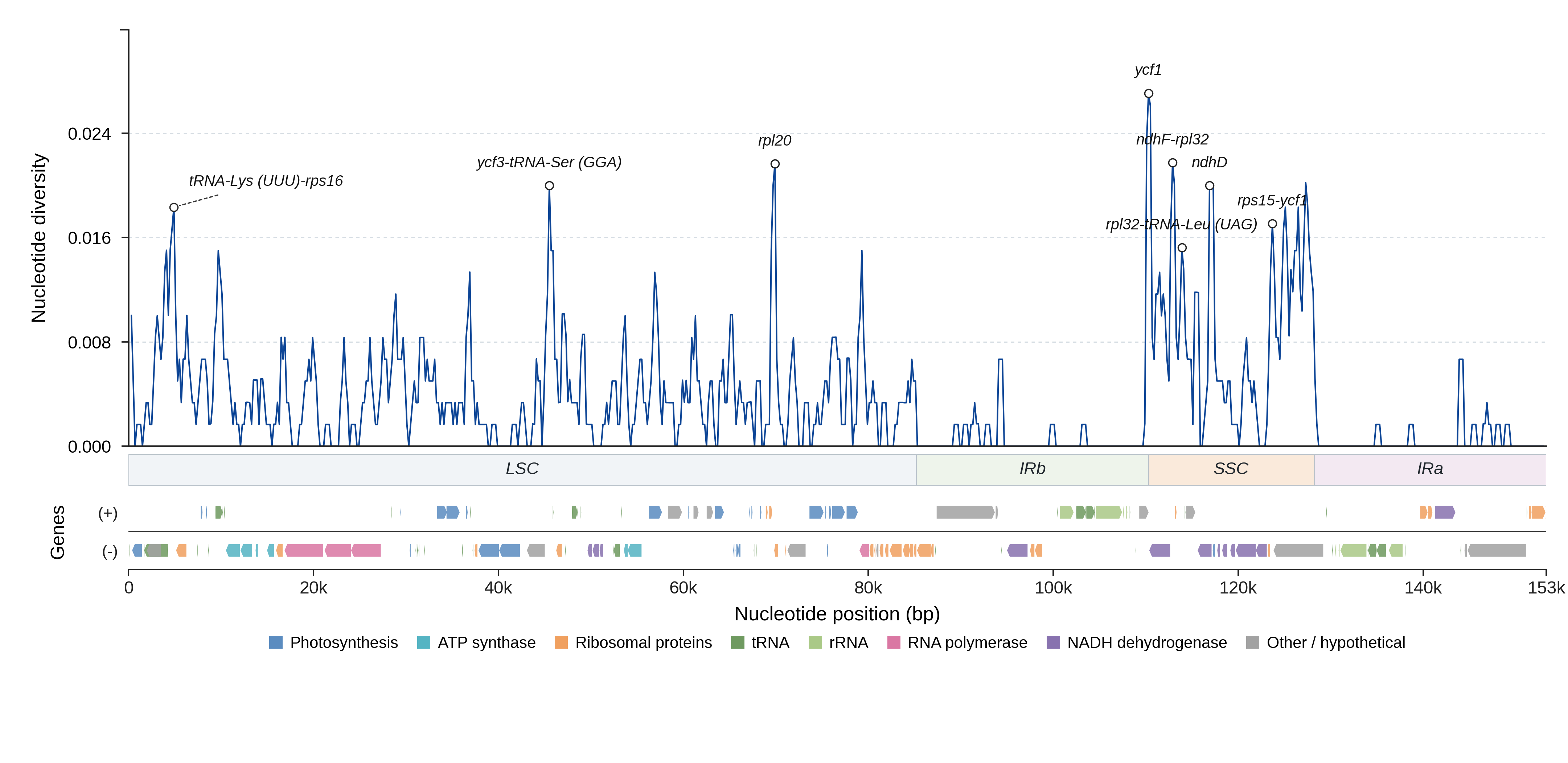 Sliding-window nucleotide diversity