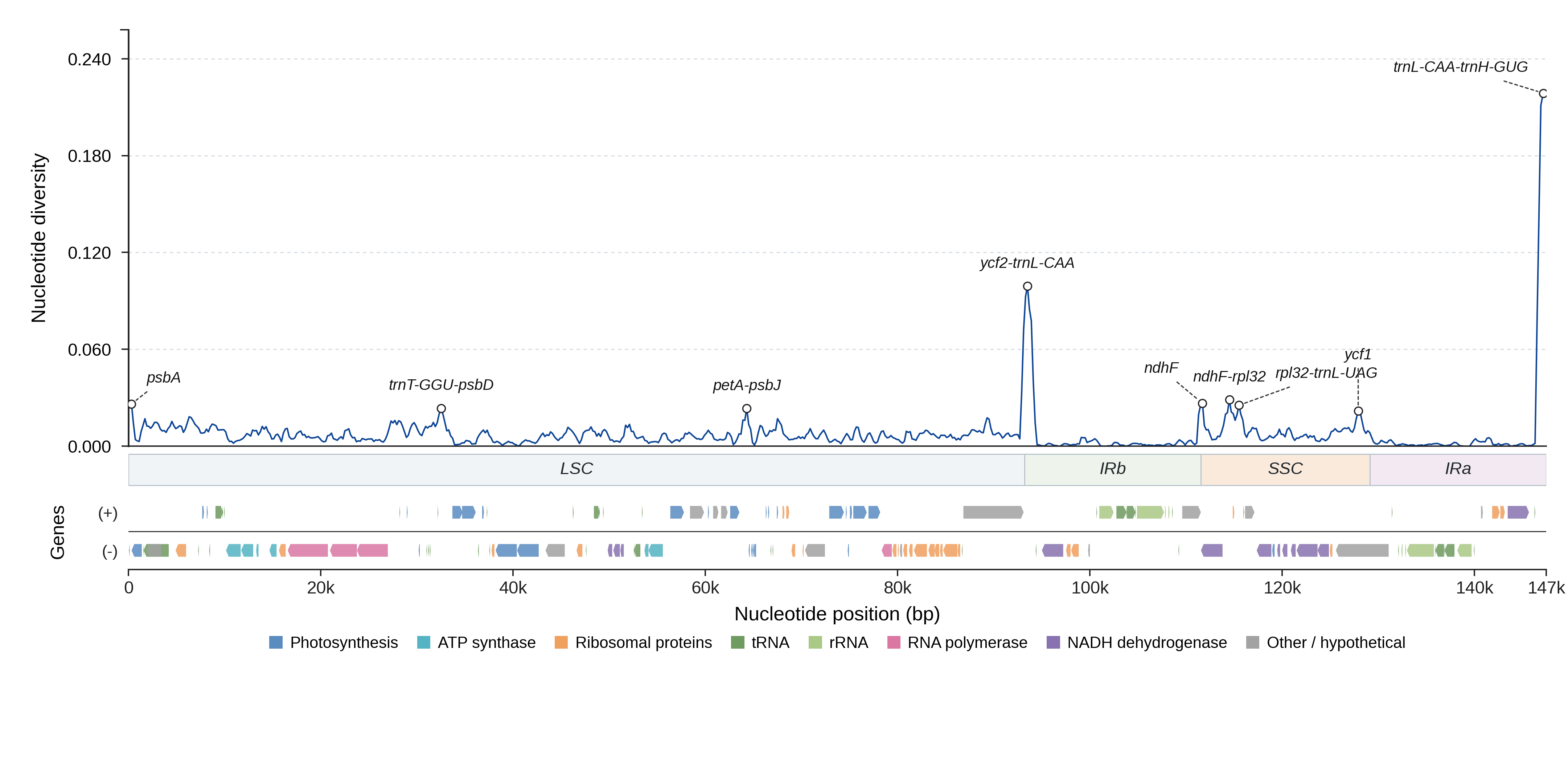 Sliding-window nucleotide diversity