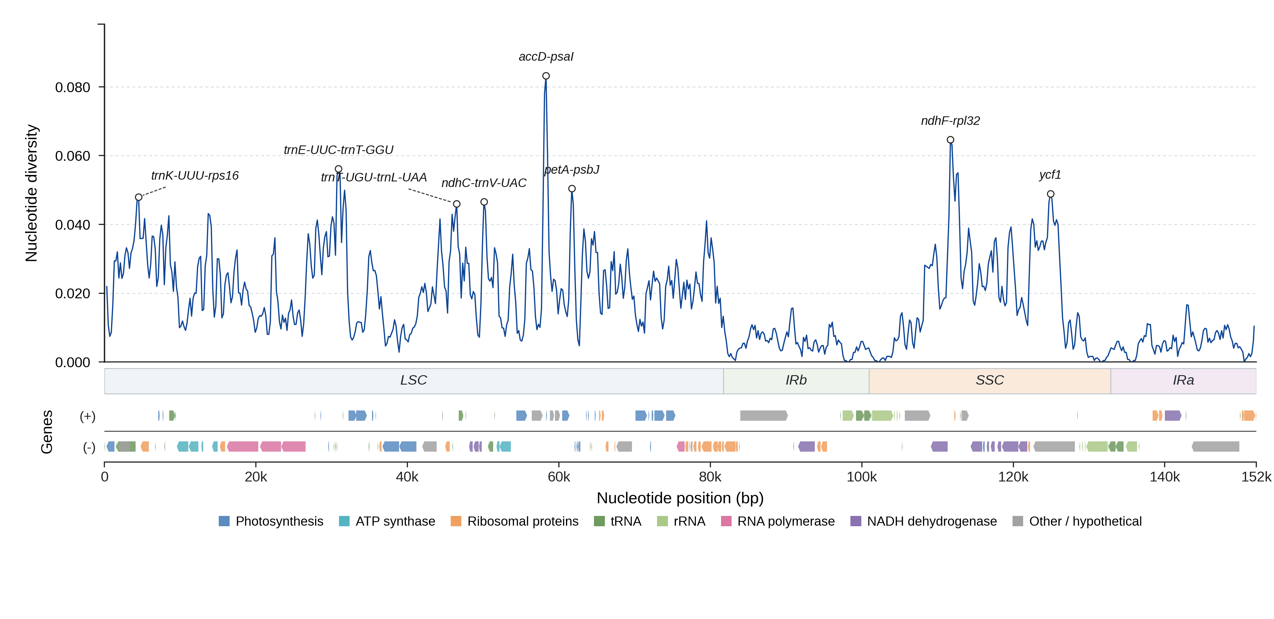 Sliding-window nucleotide diversity