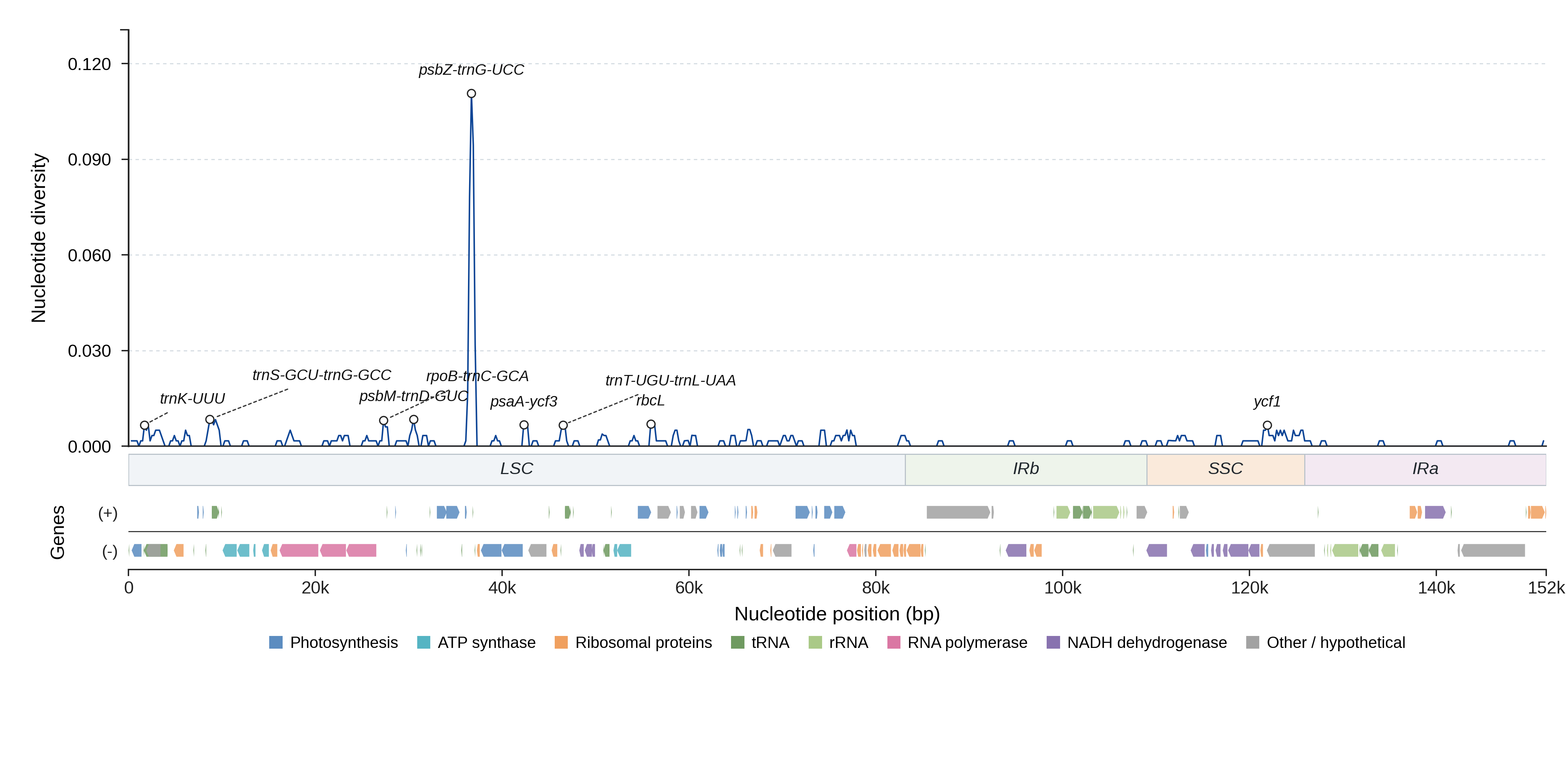 Sliding-window nucleotide diversity