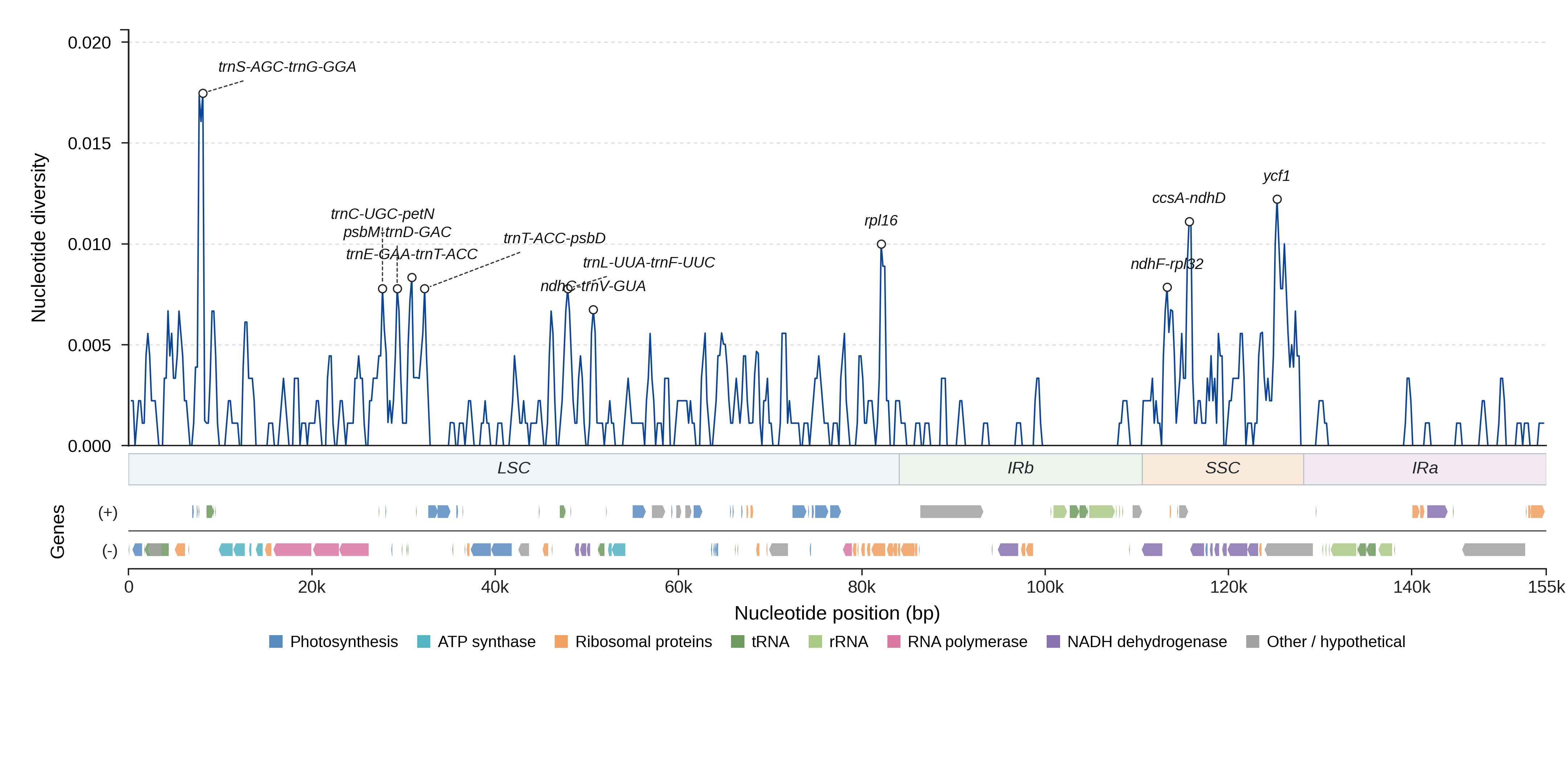 Sliding-window nucleotide diversity